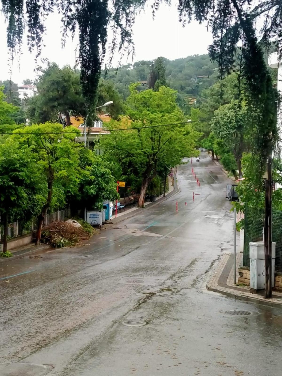 Foto de Nizam Butik Otel Büyükada