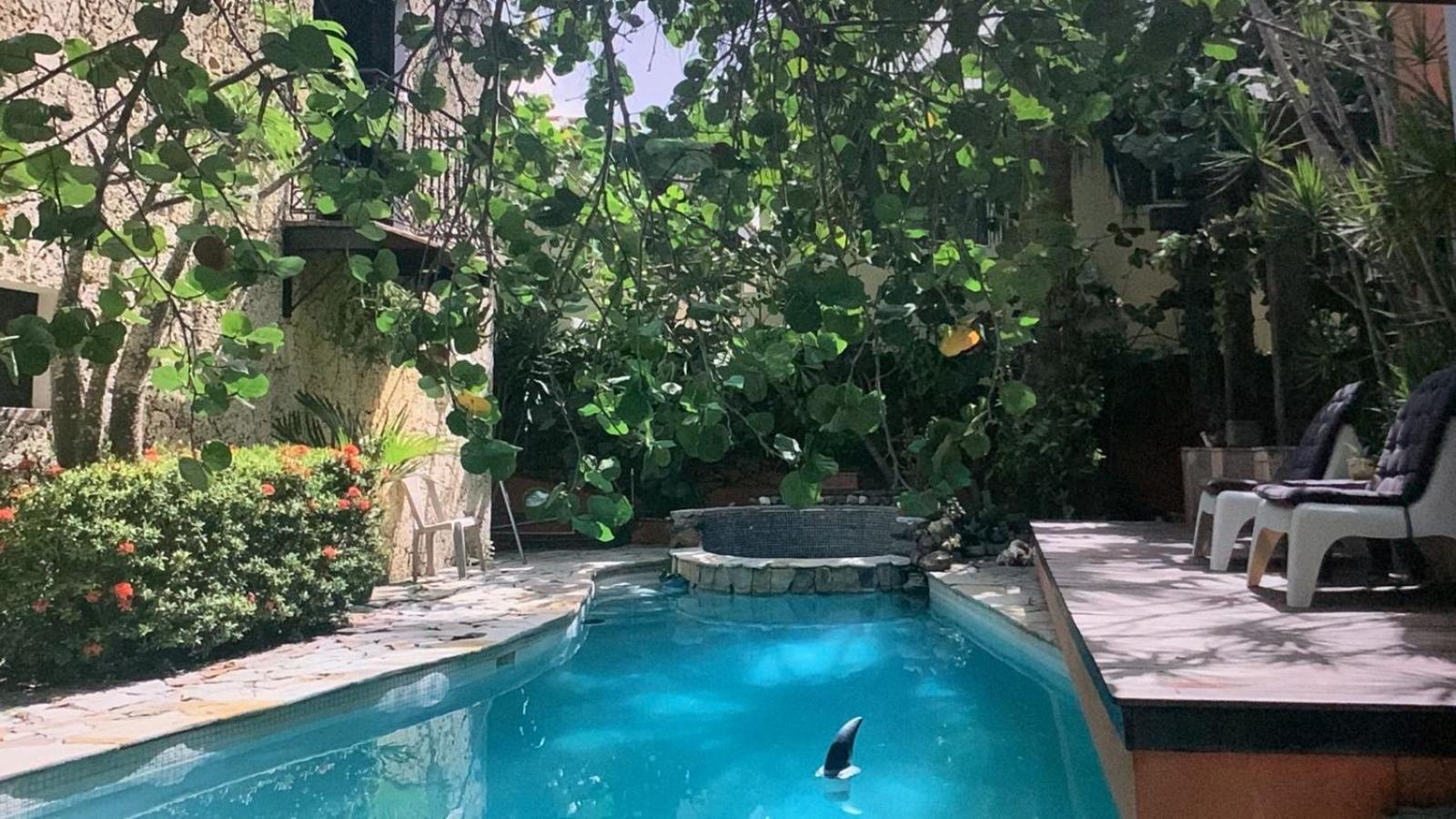 Manaya Bed & Breakfast, Punta cana