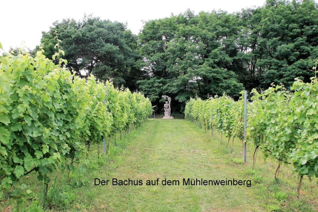 Foto de Bestwaner Hotel