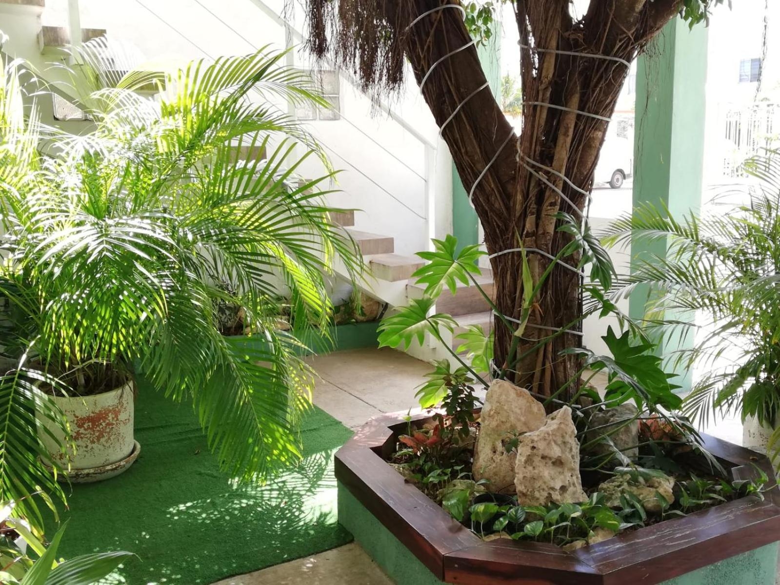 Foto de Quetzal Loft