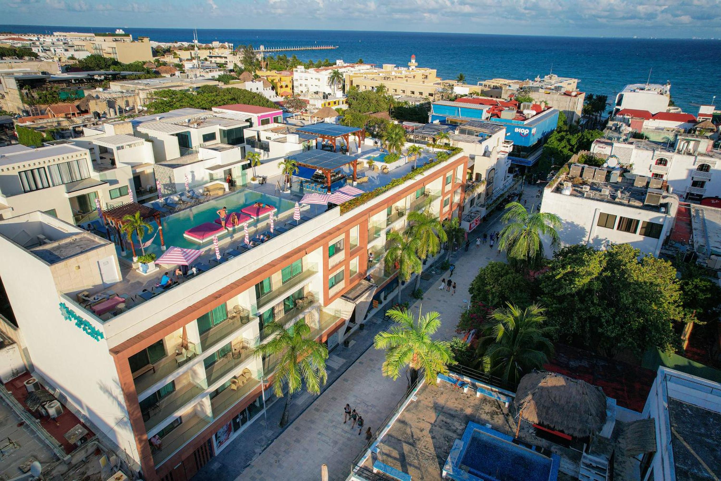 Hotel The Palm