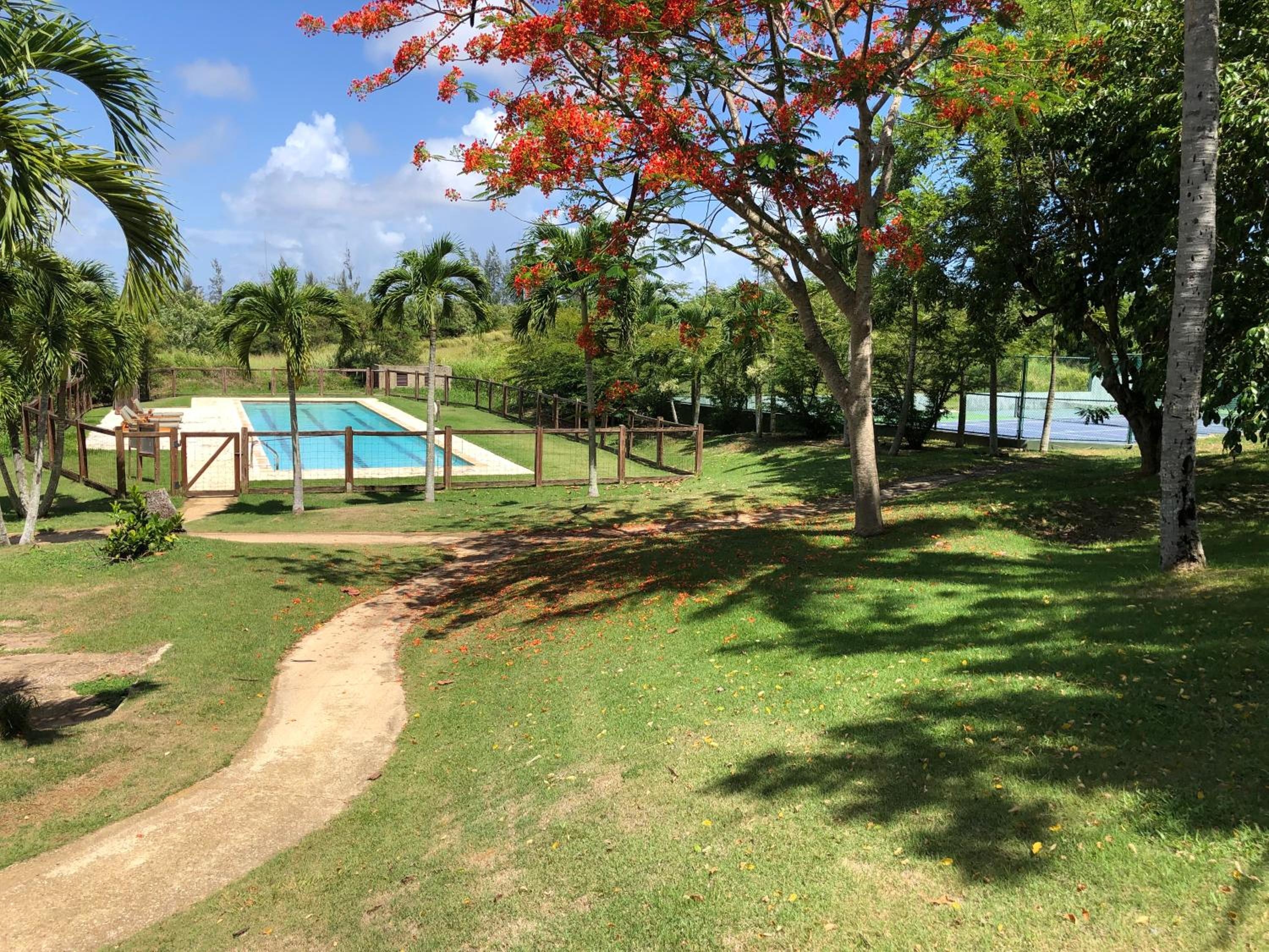 Foto de Royal Isabela