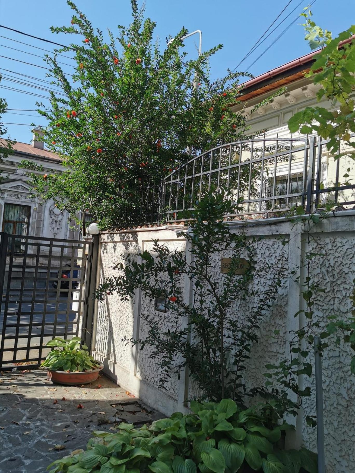Foto de Prince Residence Apartments