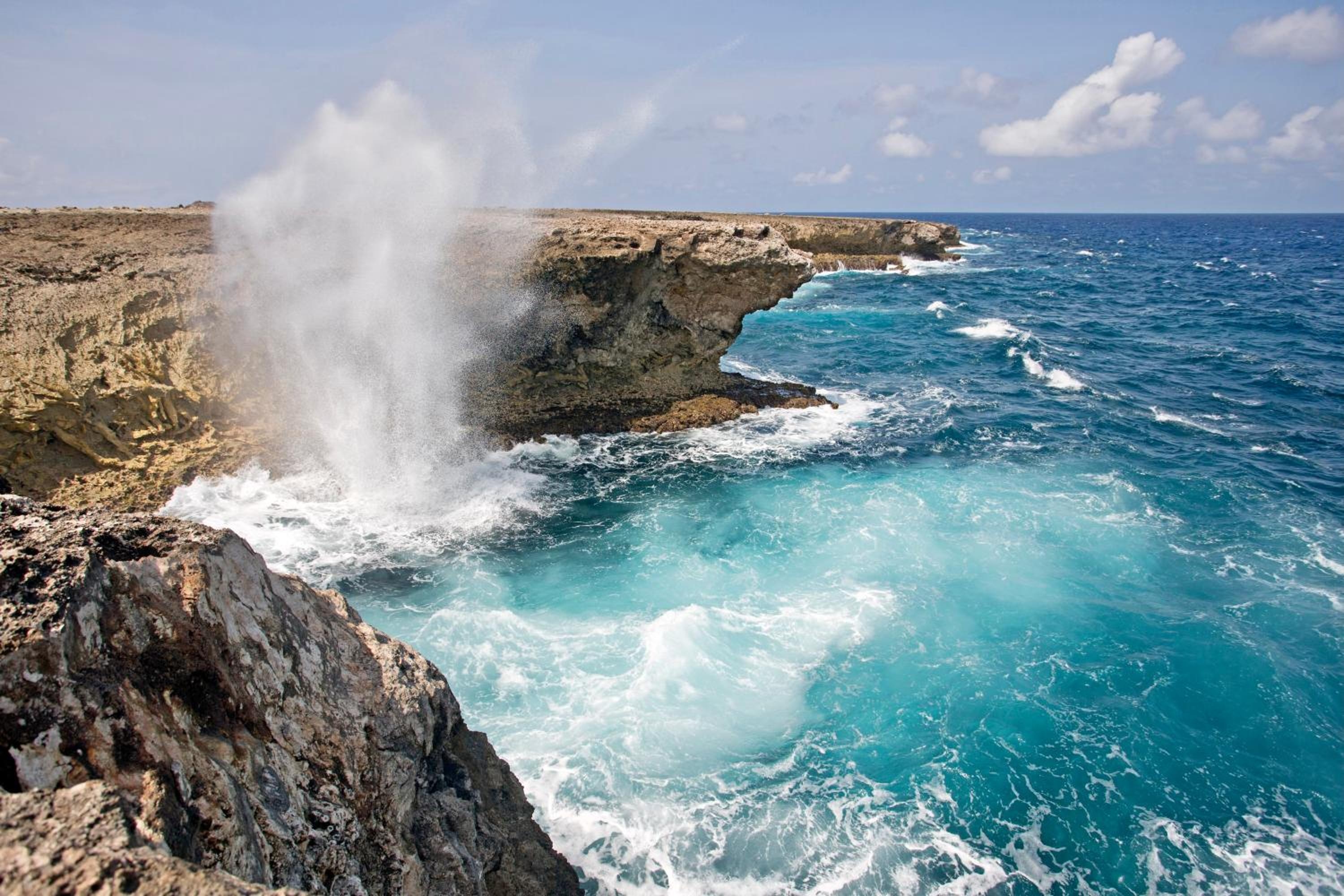 Foto de Delfins Beach Resort Bonaire, Tapestry Collection by Hilton