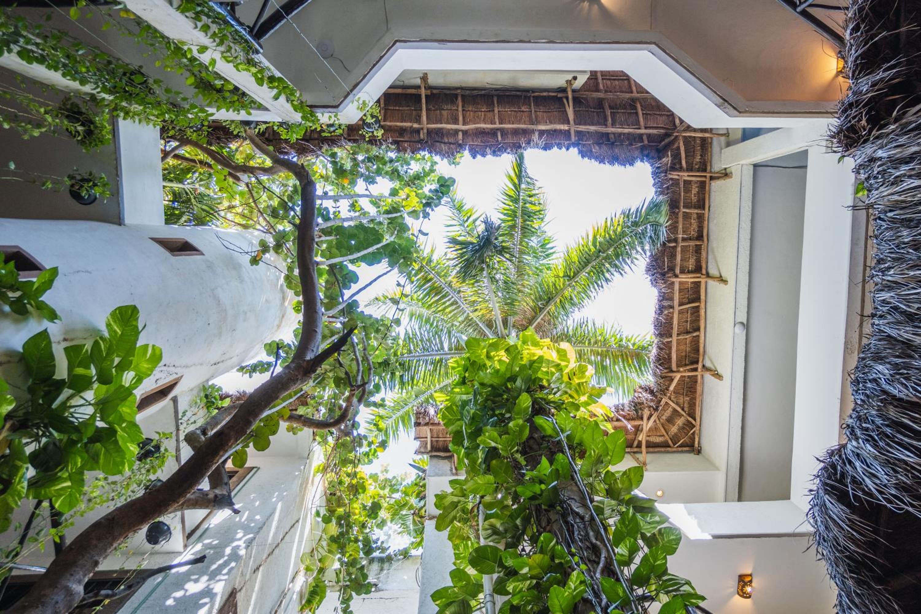 Posada Mariposa Boutique Hotel - 5th Avenue