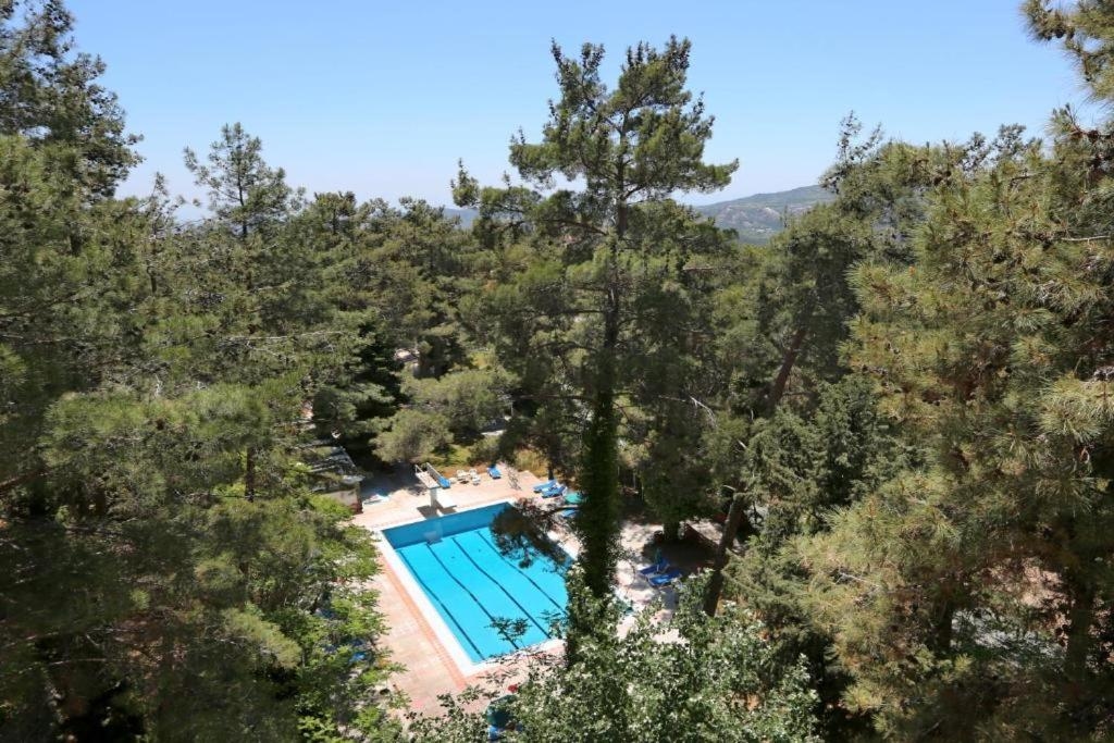 Foto de Forest Park Hotel