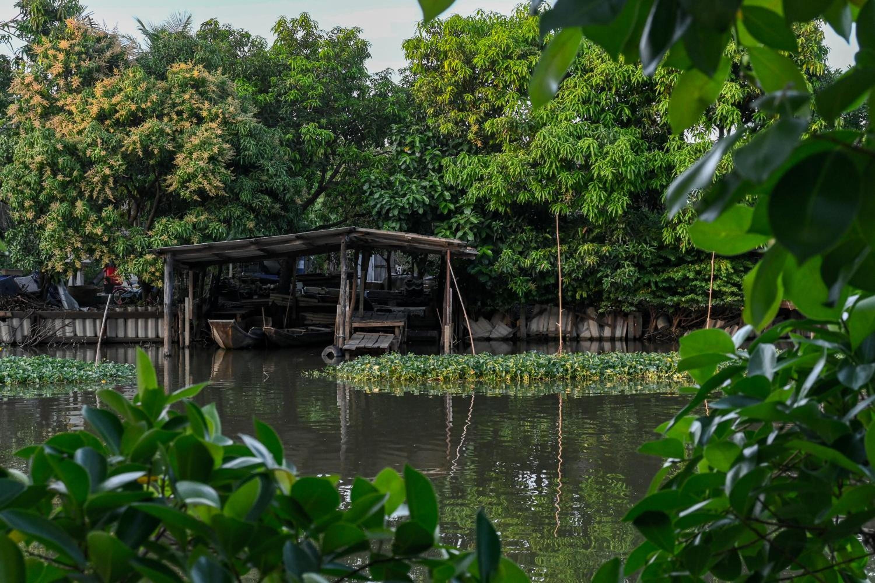 Foto de Aranta Suvarnabhumi