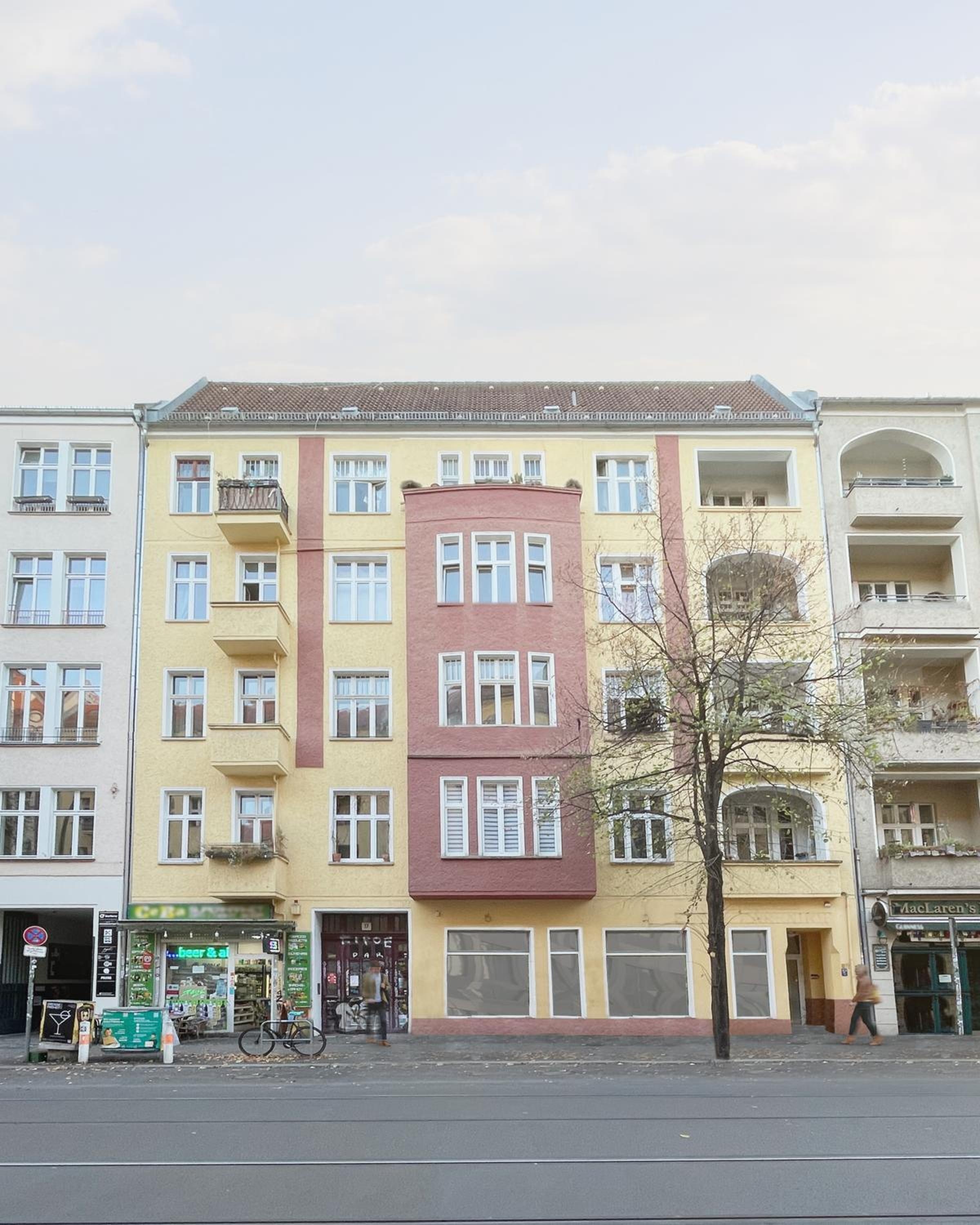 Homaris Boxi Studios