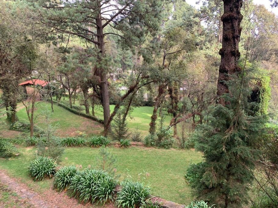 Foto de Hermosa cabaña en el bosque