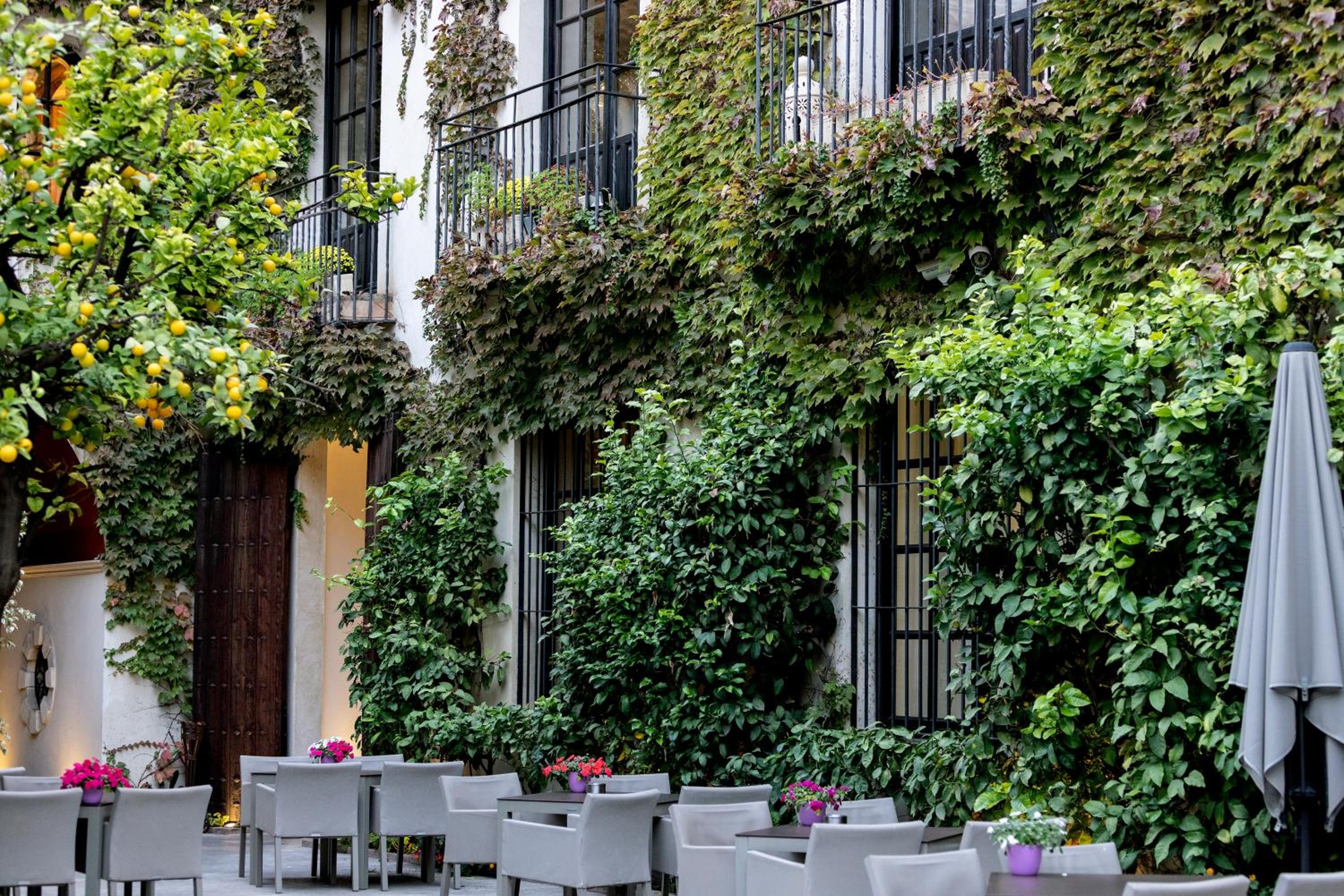 Foto de Hospes Palacio del Bailio, a Member of Design Hotels