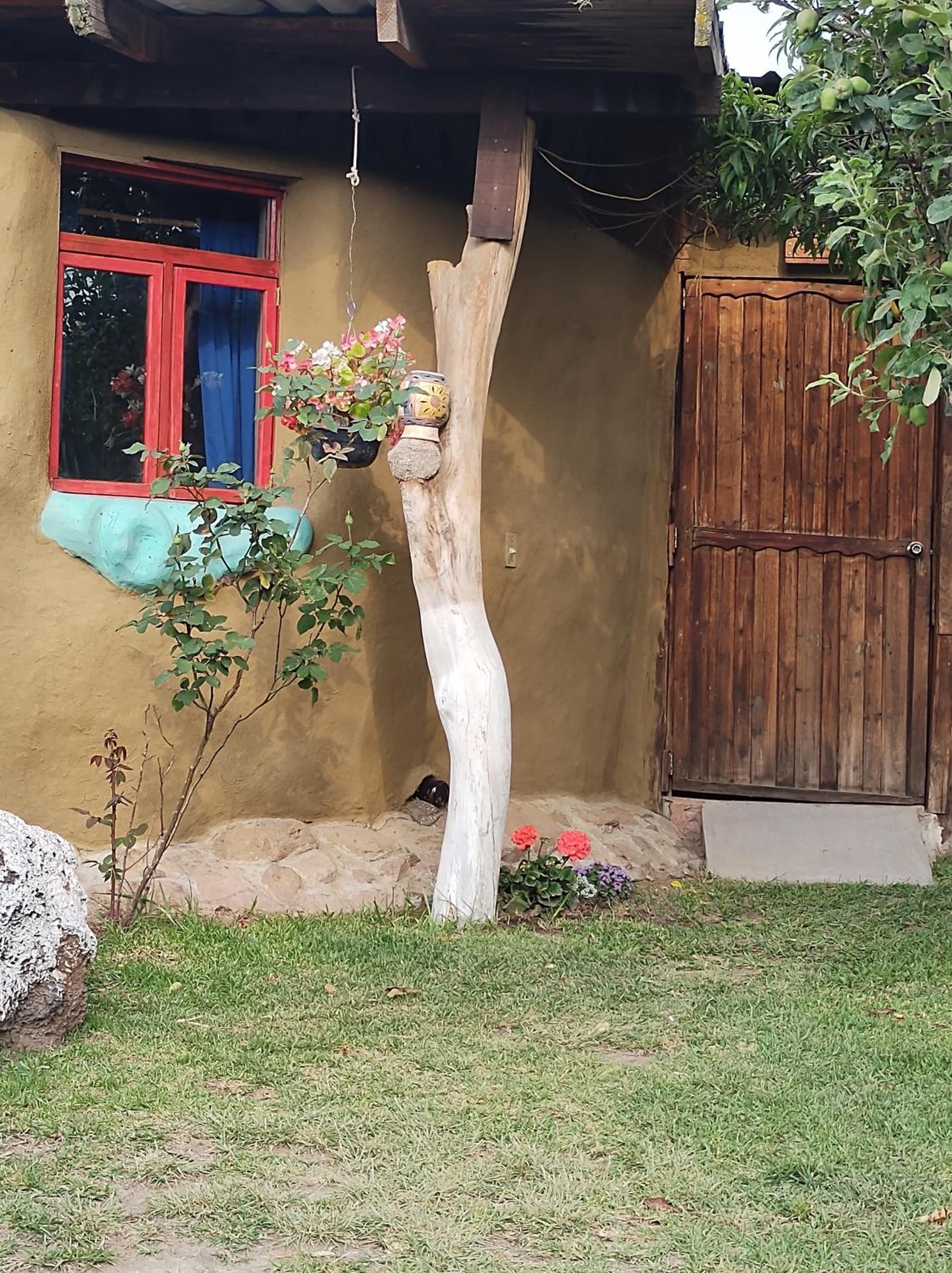 Foto de Temazcal Casa de Barro