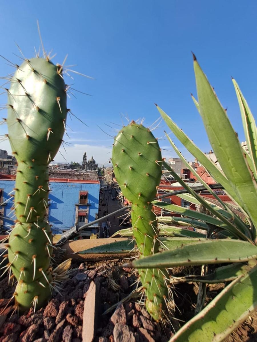 Foto de Casa Sabina Down Town Mexico City