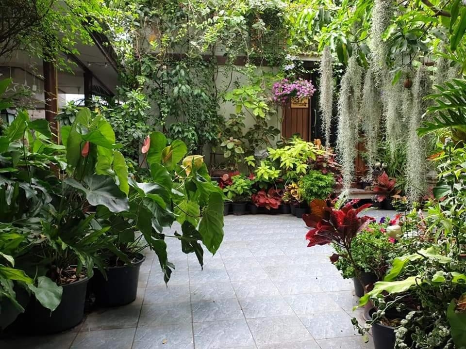 Foto de 37 Nature House