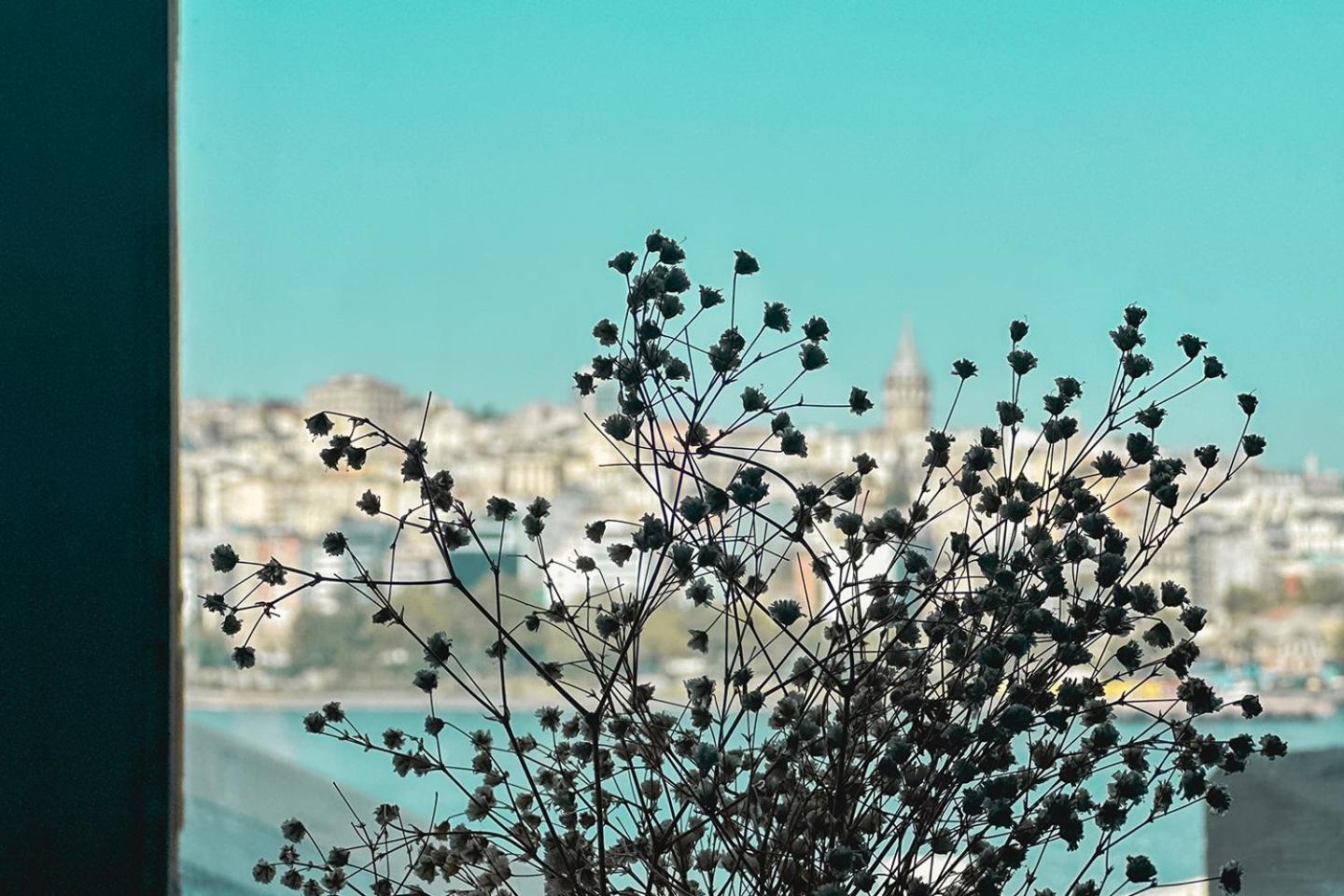Foto de The Haliç Bosphorus Hotel