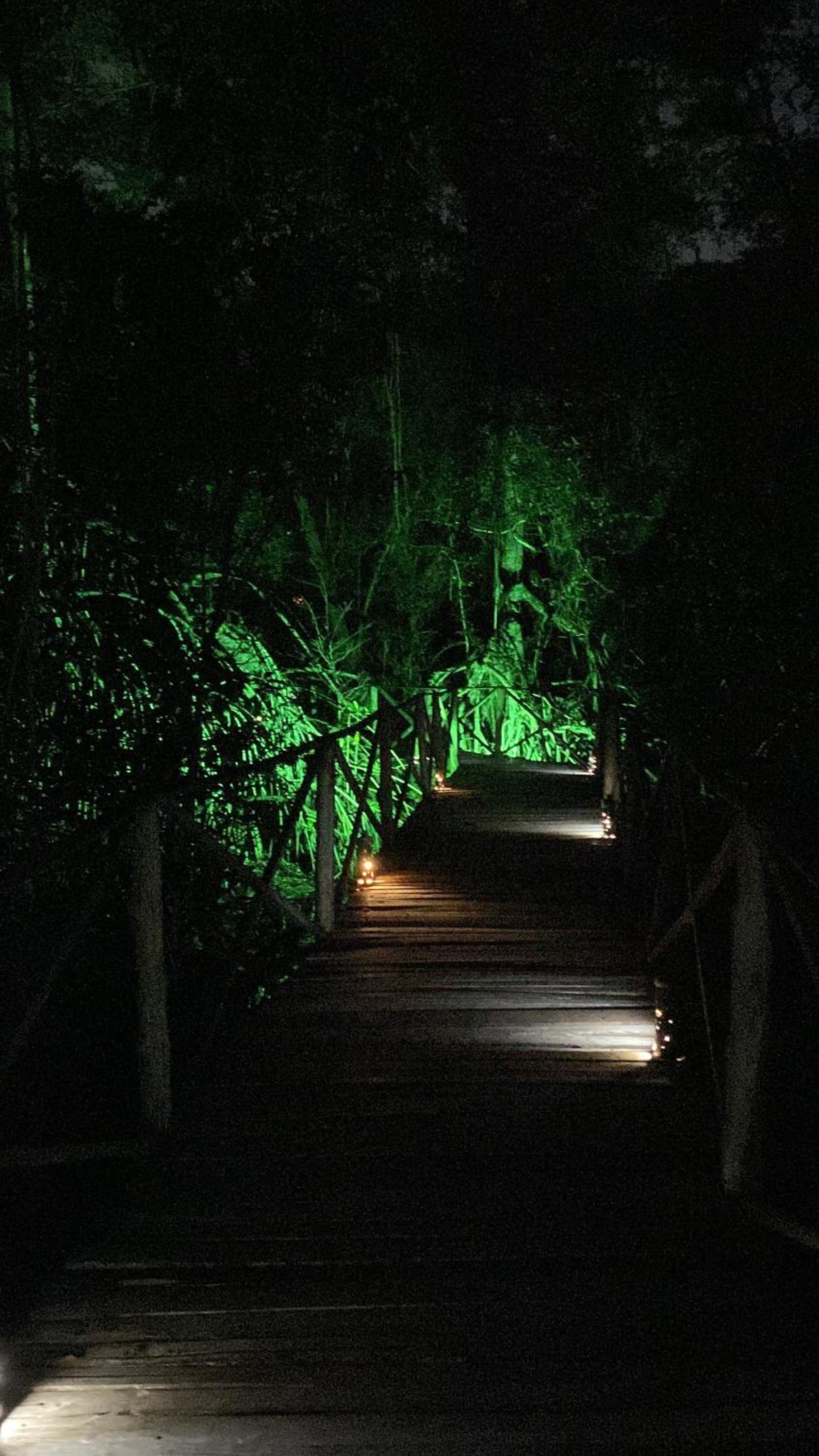 Foto de UUTTAAKA Eco-Hotel