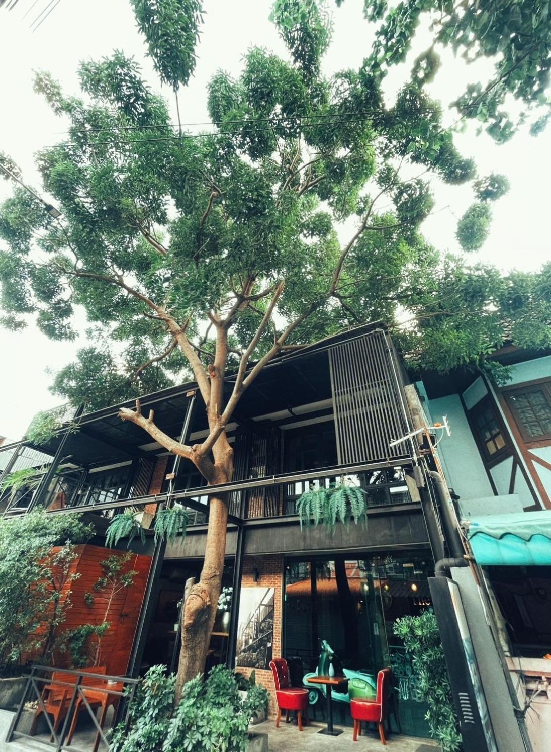 Yotaka The Hostel