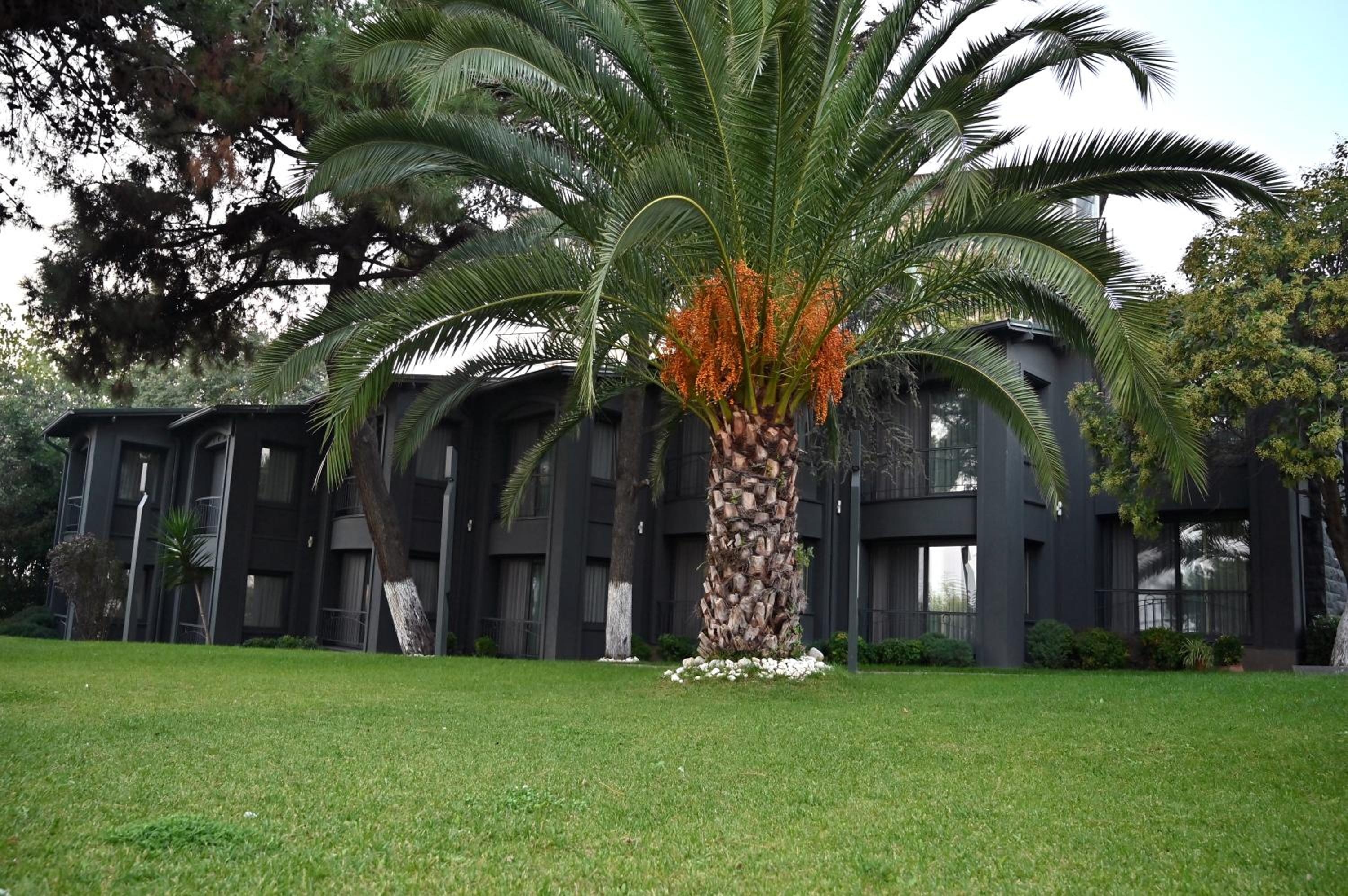 Foto de Denizatı Plus Hotel