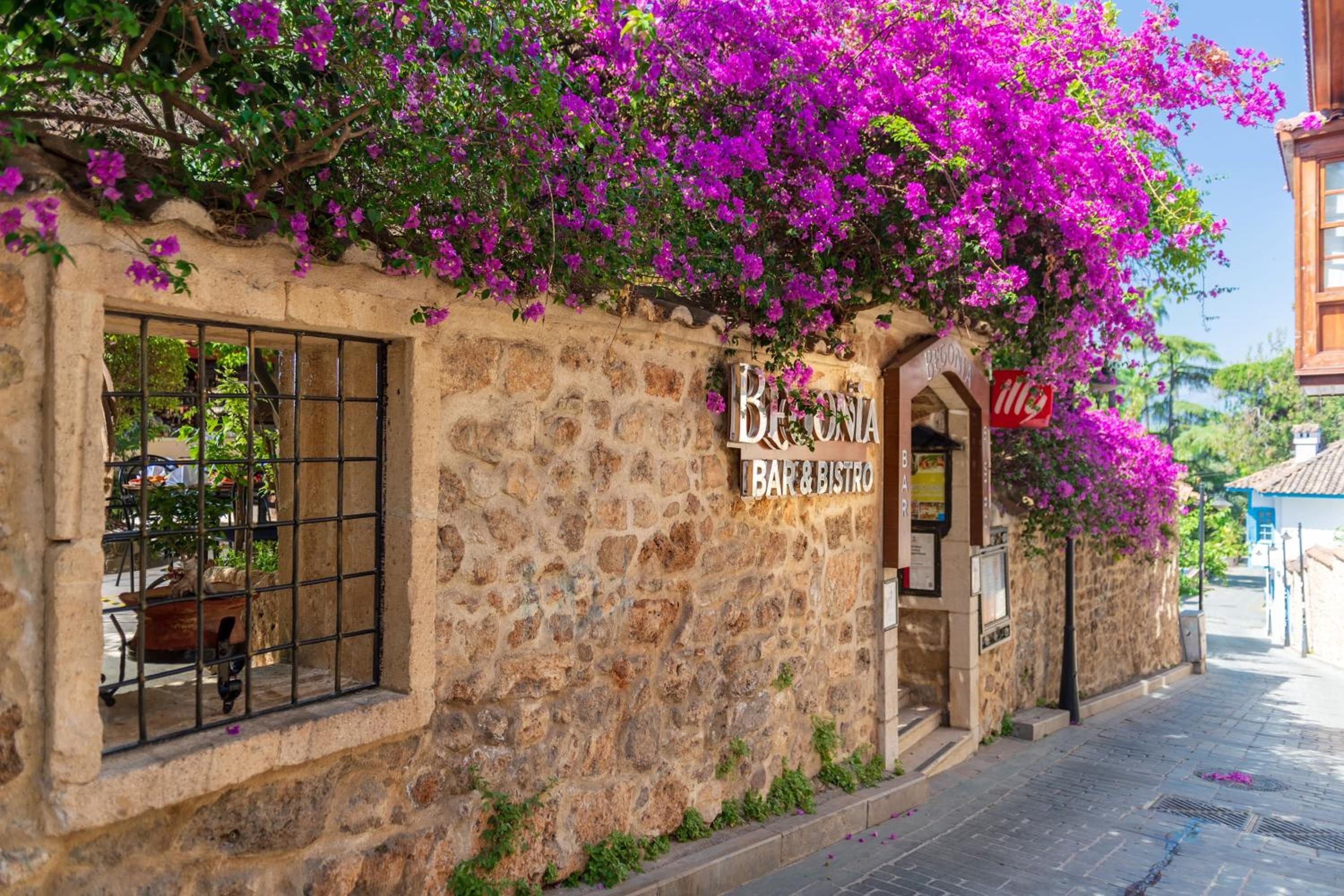 Foto de Dogan Hotel