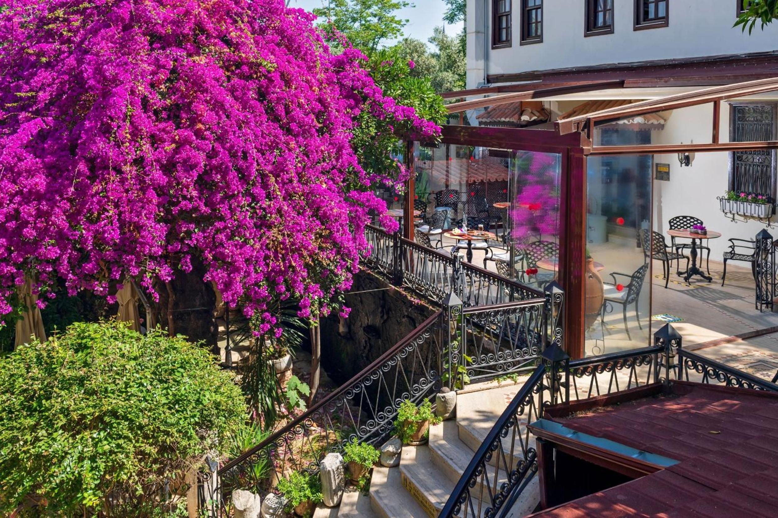 Foto de Dogan Hotel