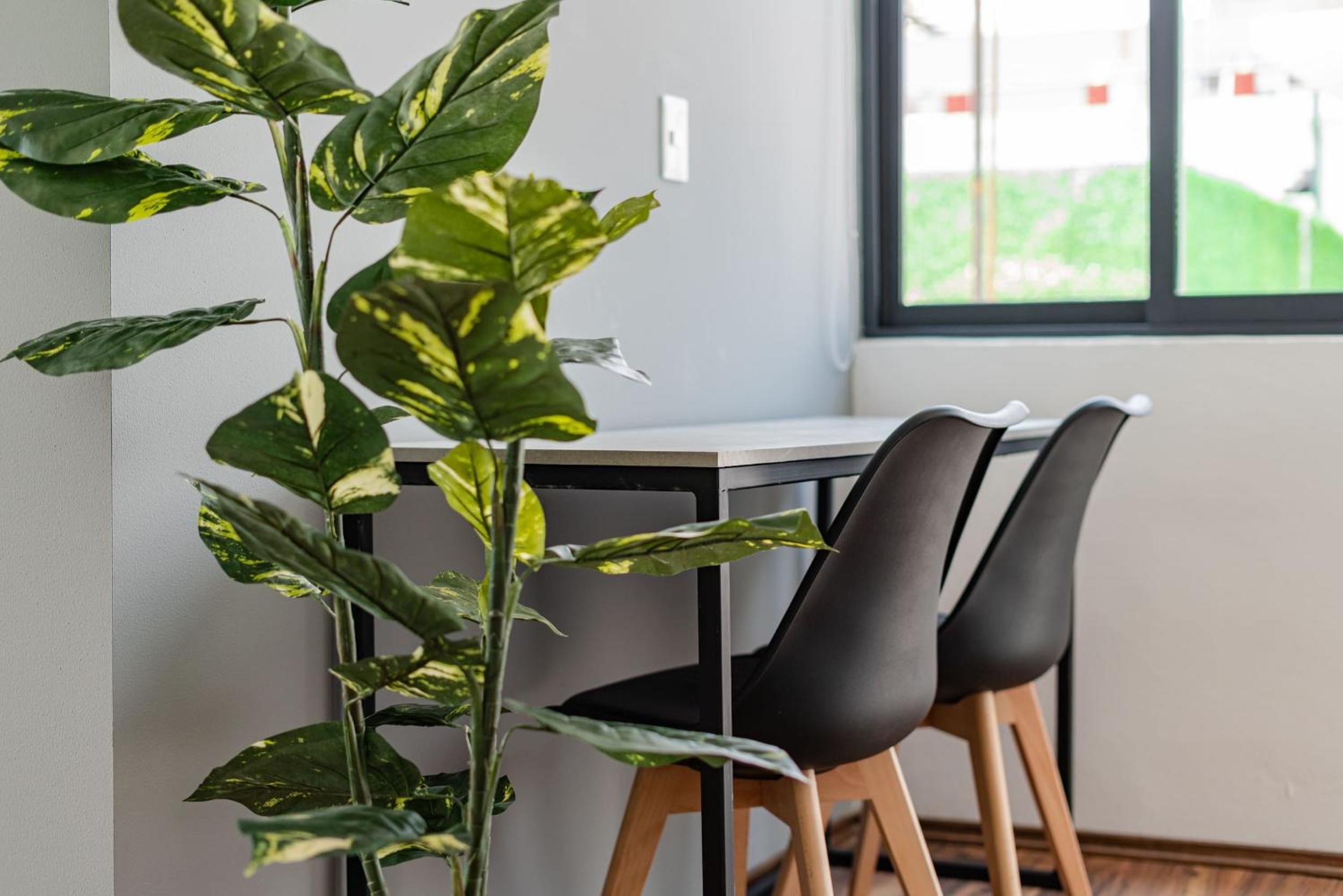 Foto de Narvarte Apartments by Escajal Homes
