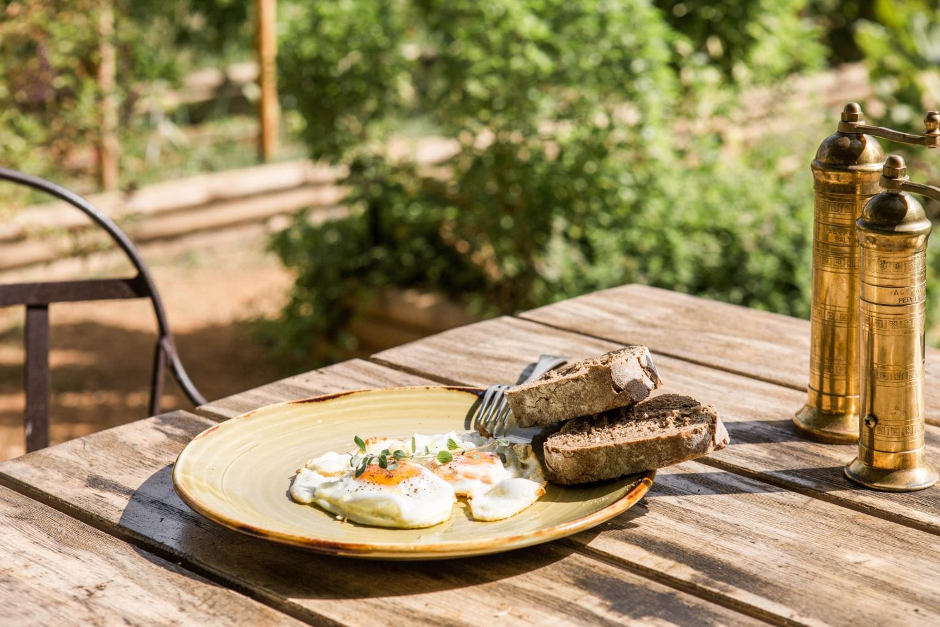Foto de Phāea Cretan Malia, a Member of Design Hotels