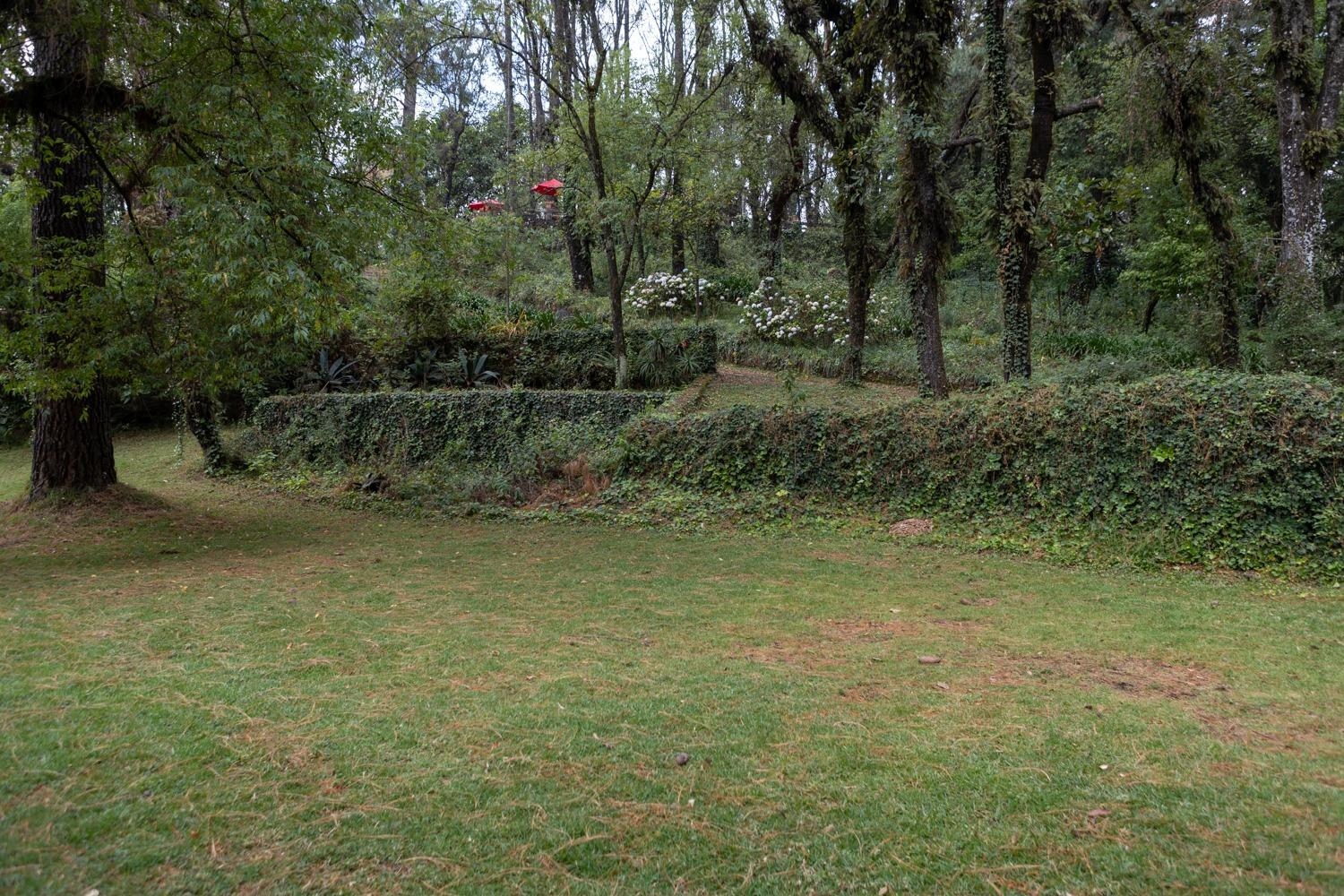 Foto de Hermosa cabaña en el bosque