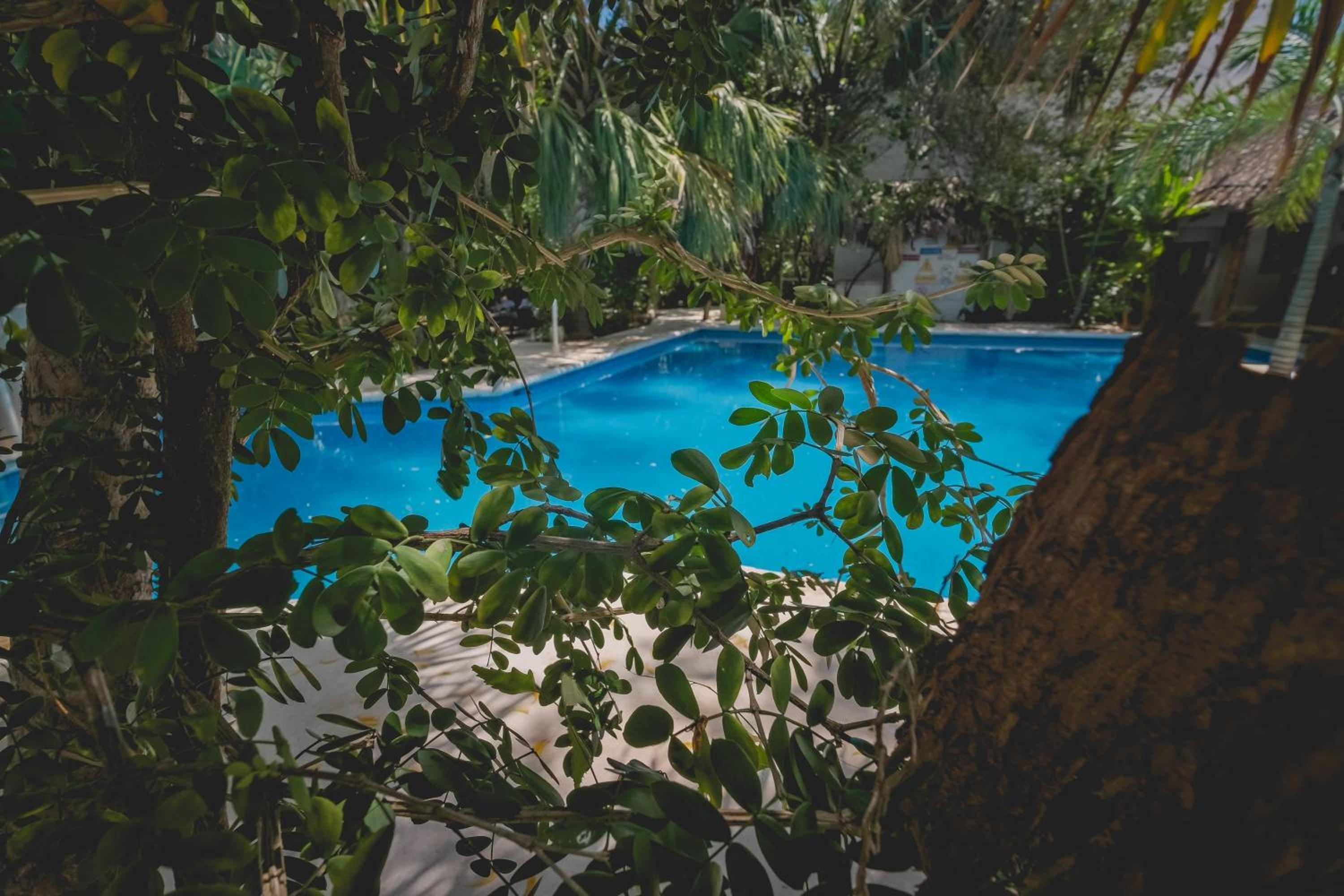 Foto de Sotavento Hotel & Yacht Club