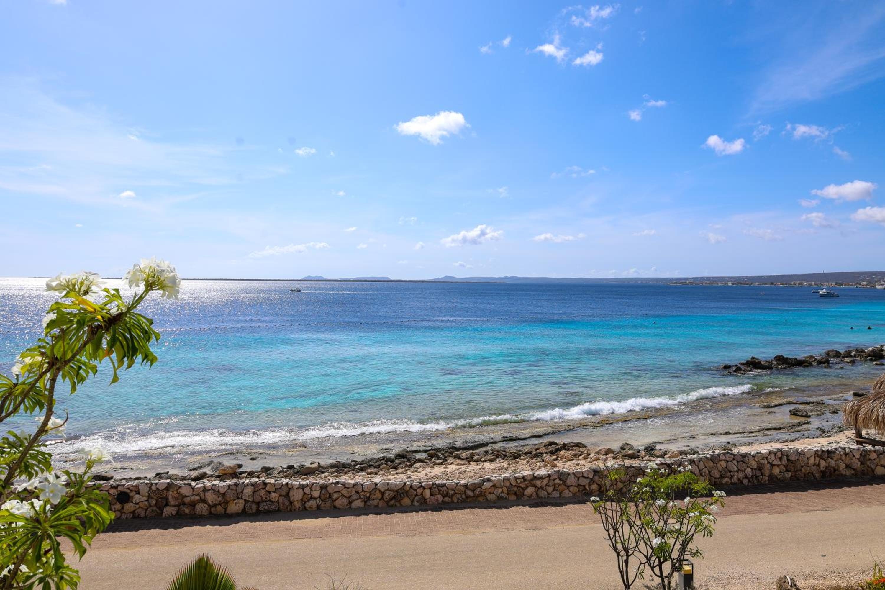 Foto de Van der Valk Plaza Resort Bonaire - All Inclusive