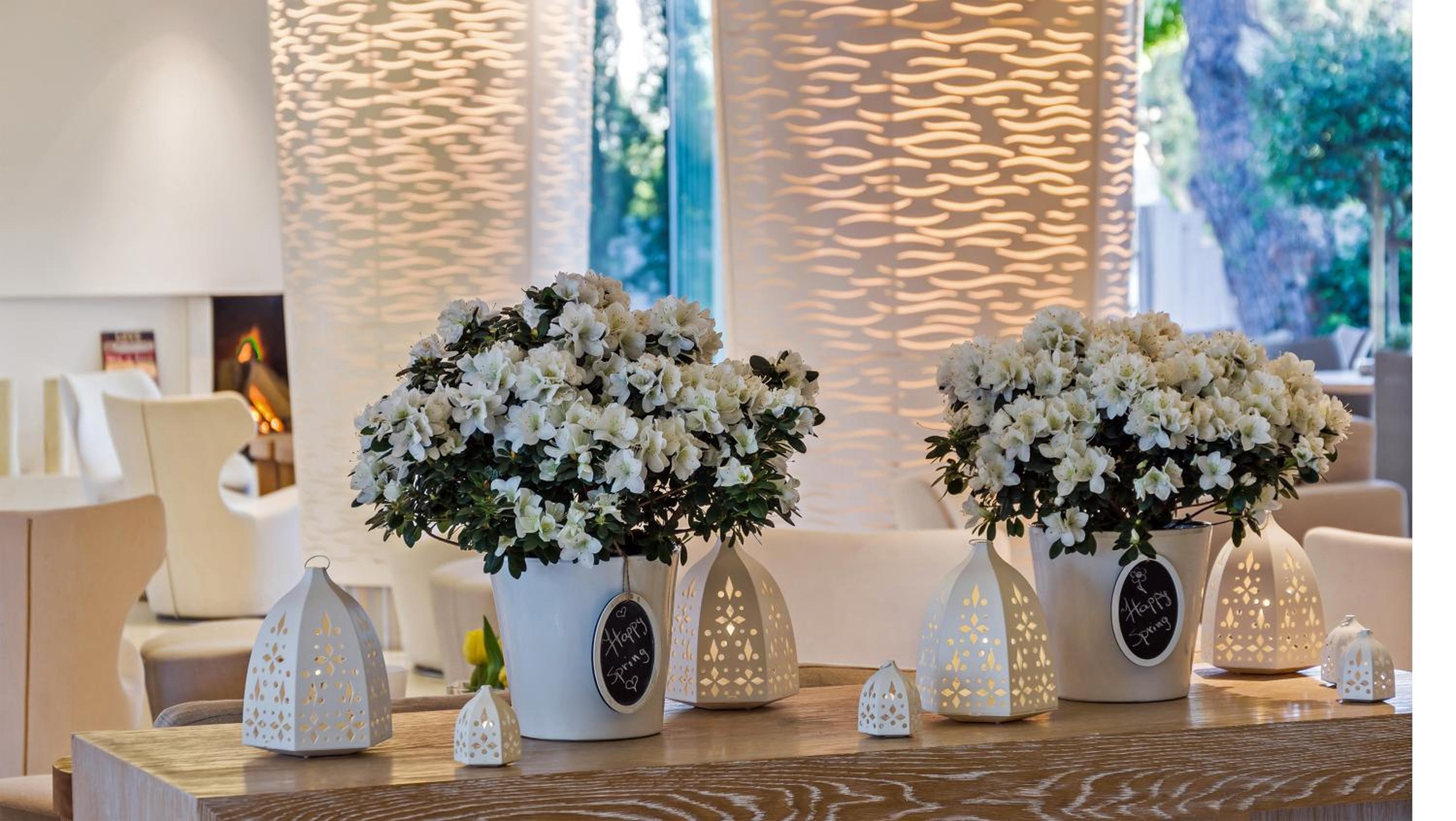 Foto de Alasia Boutique Hotel