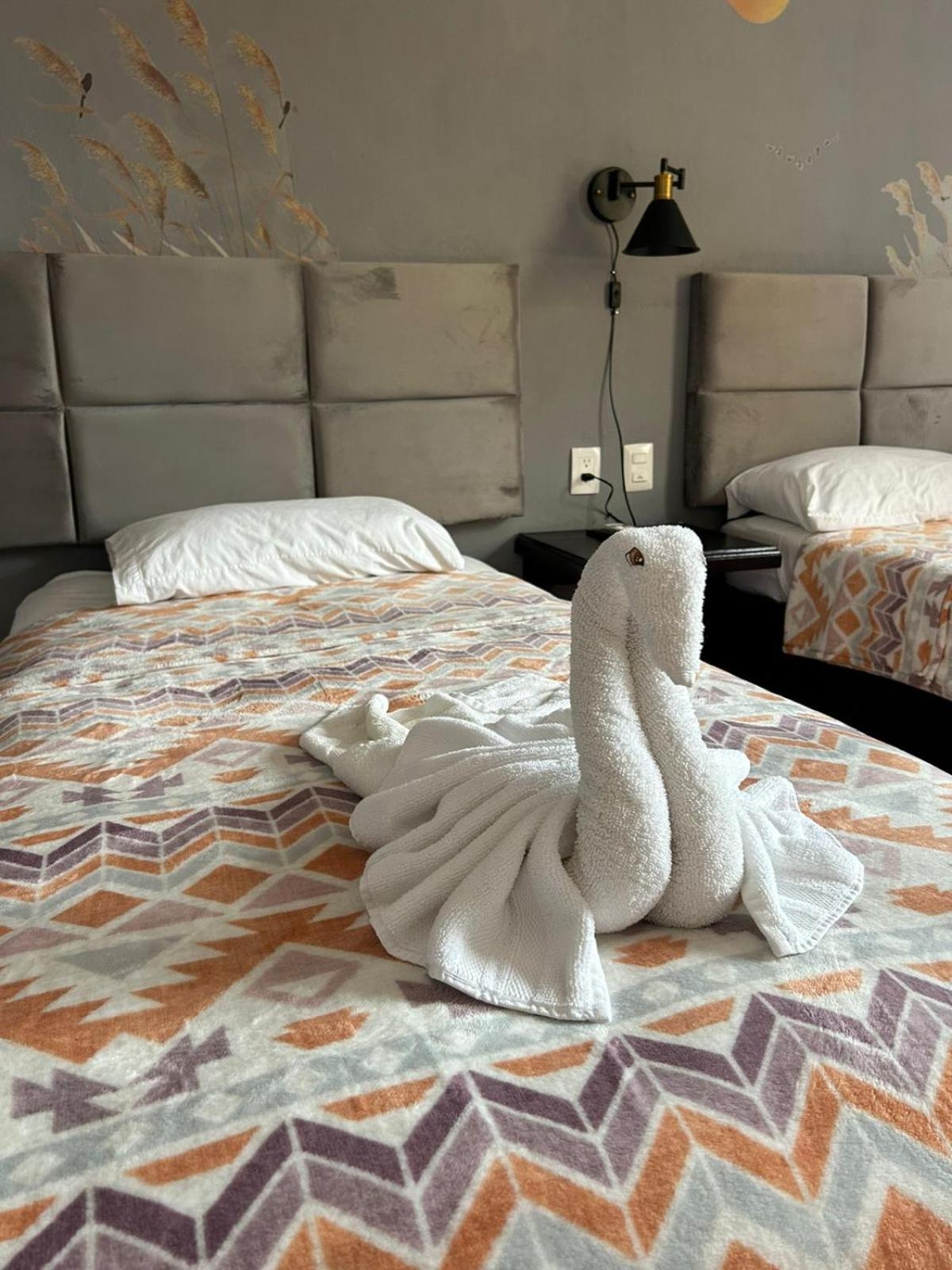 Foto de Hotel Marcianito