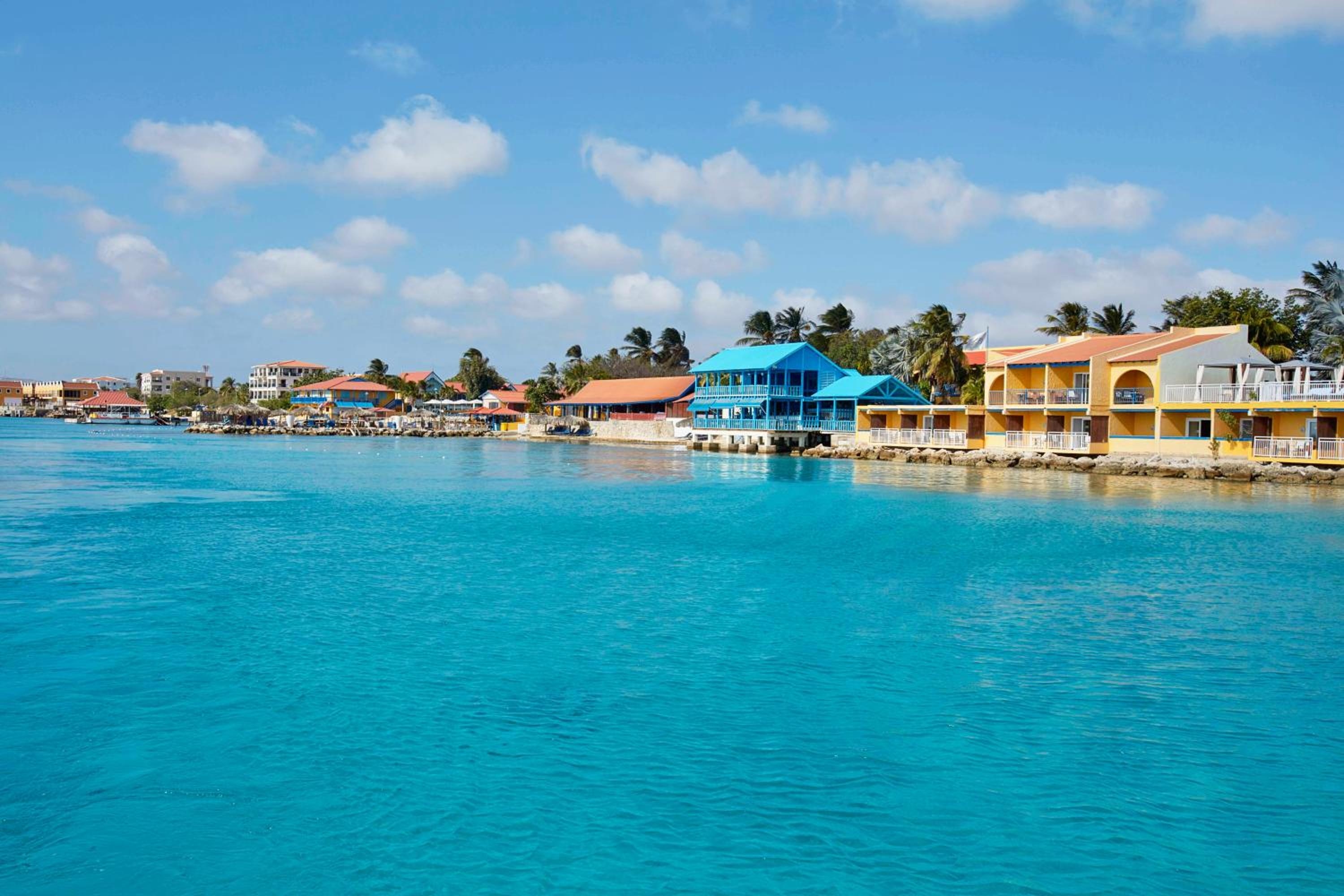 Divi Flamingo Beach Resort