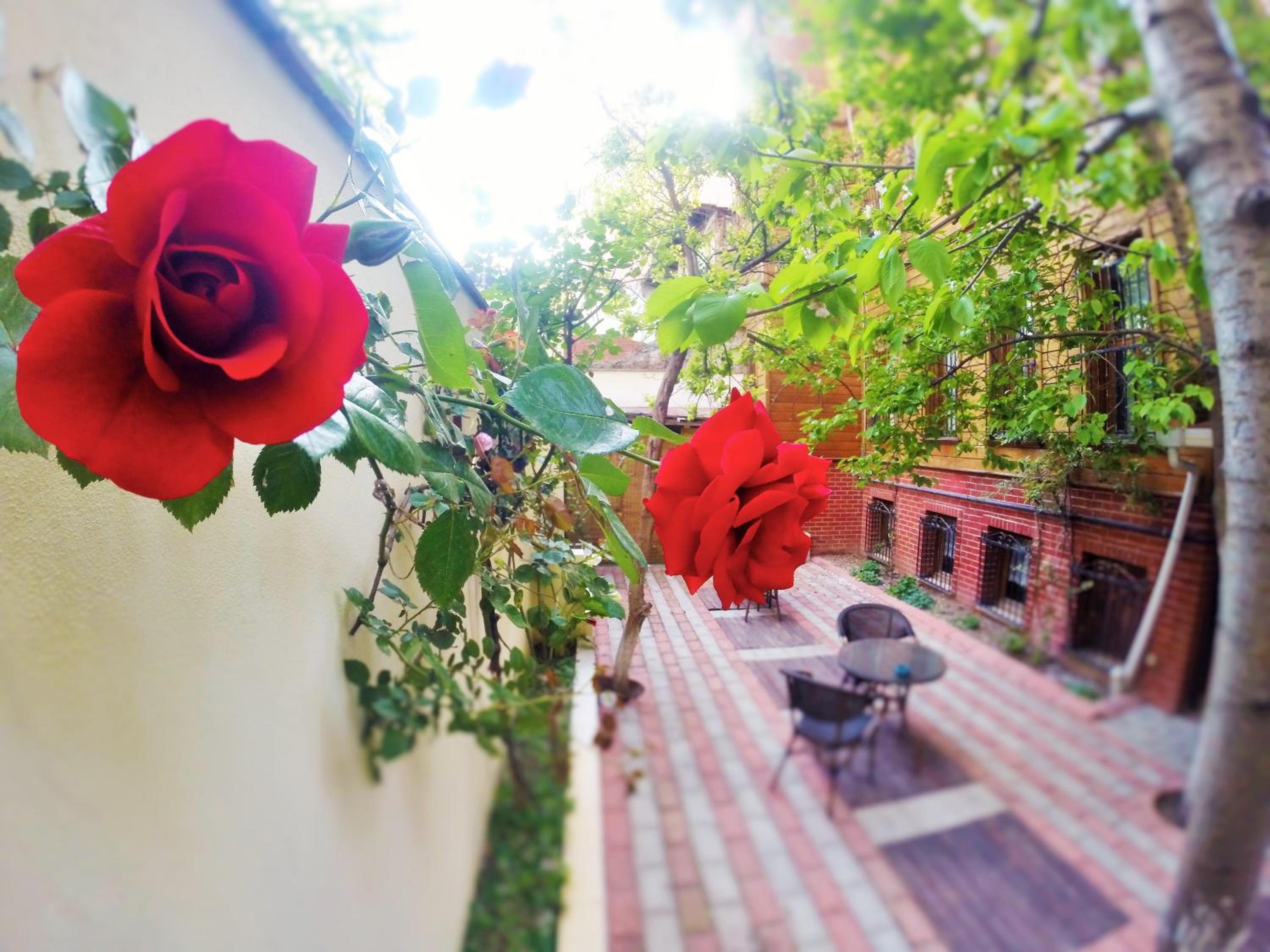 Foto de Ottoman's Pearl Hotel
