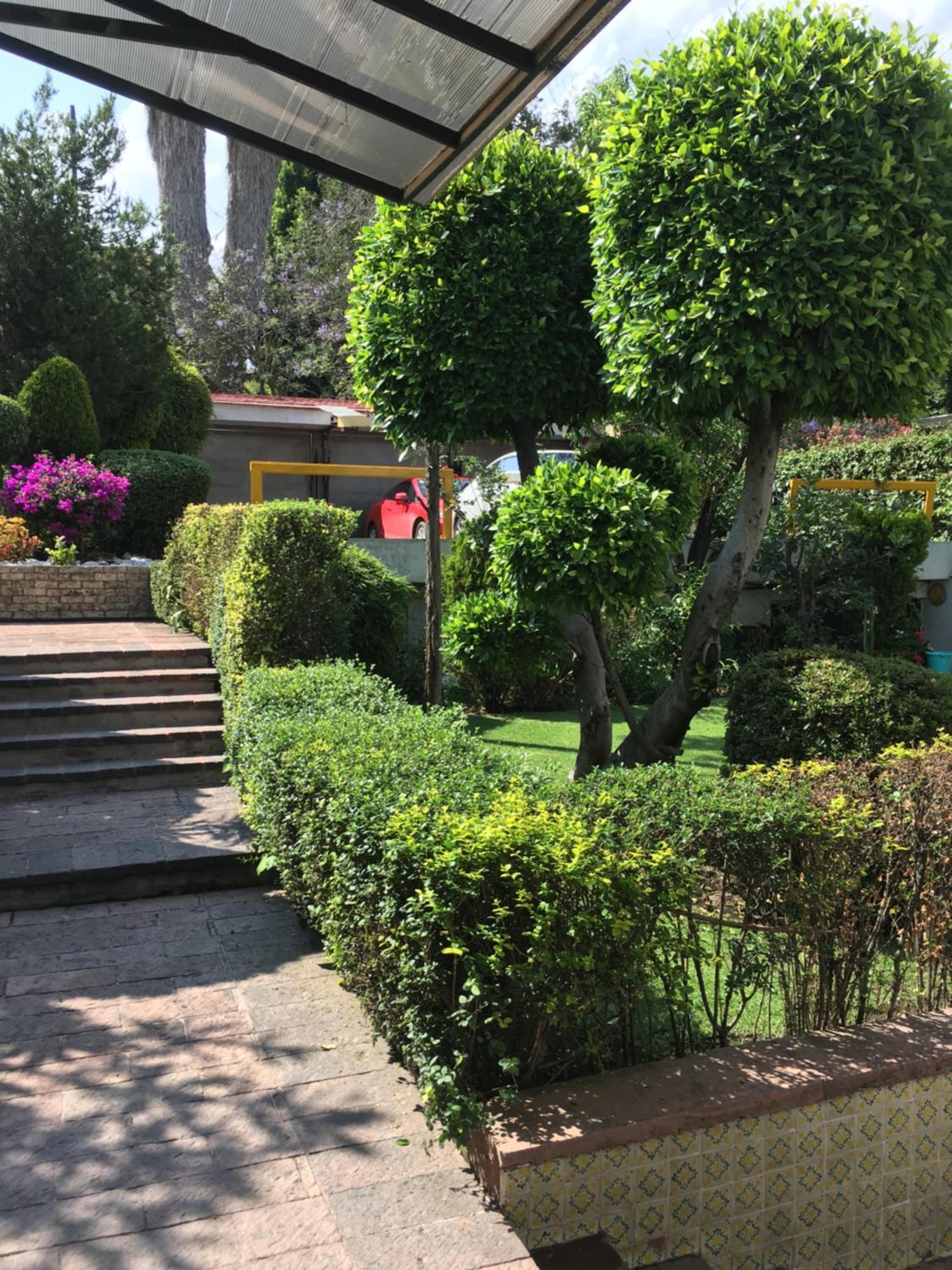 Foto de Grupo Kings Suites - Bosque de Duraznos 72