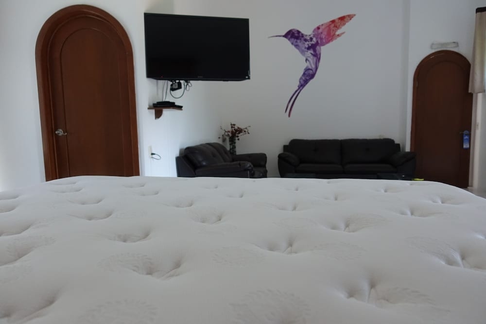Foto de Colibrí Hotel