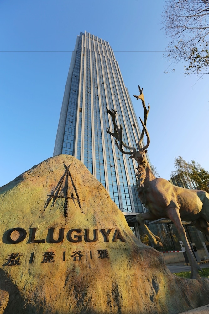 Aoluguya