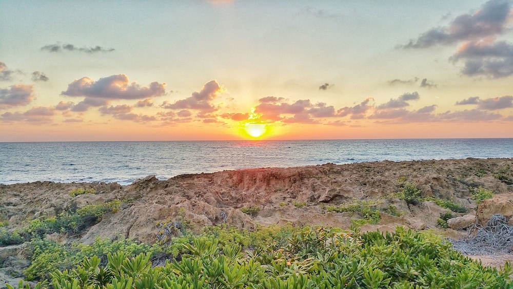 Foto de Cynthiana Beach Hotel