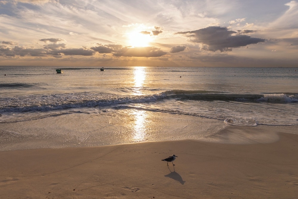 Foto de Areia Playa del Carmen-Beach front Hotel