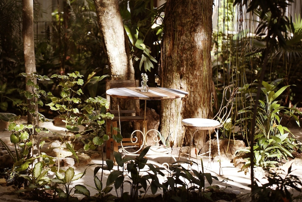 Foto de Hotel La Semilla, Playa del Carmen, a Member of Design Hotels - Adults Only
