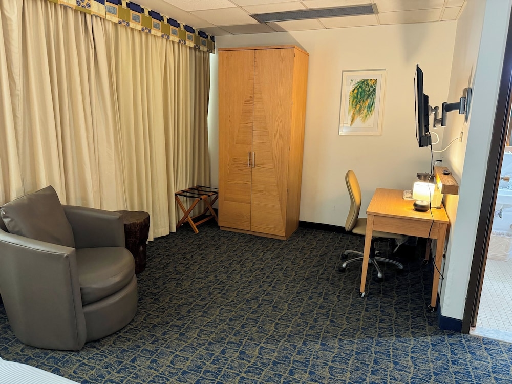 Foto de Ficus Hotel