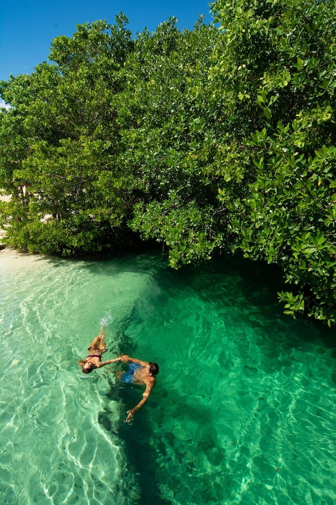 Foto de Hacienda Tres Rios Resort, Spa & Nature Park-All Inclusive