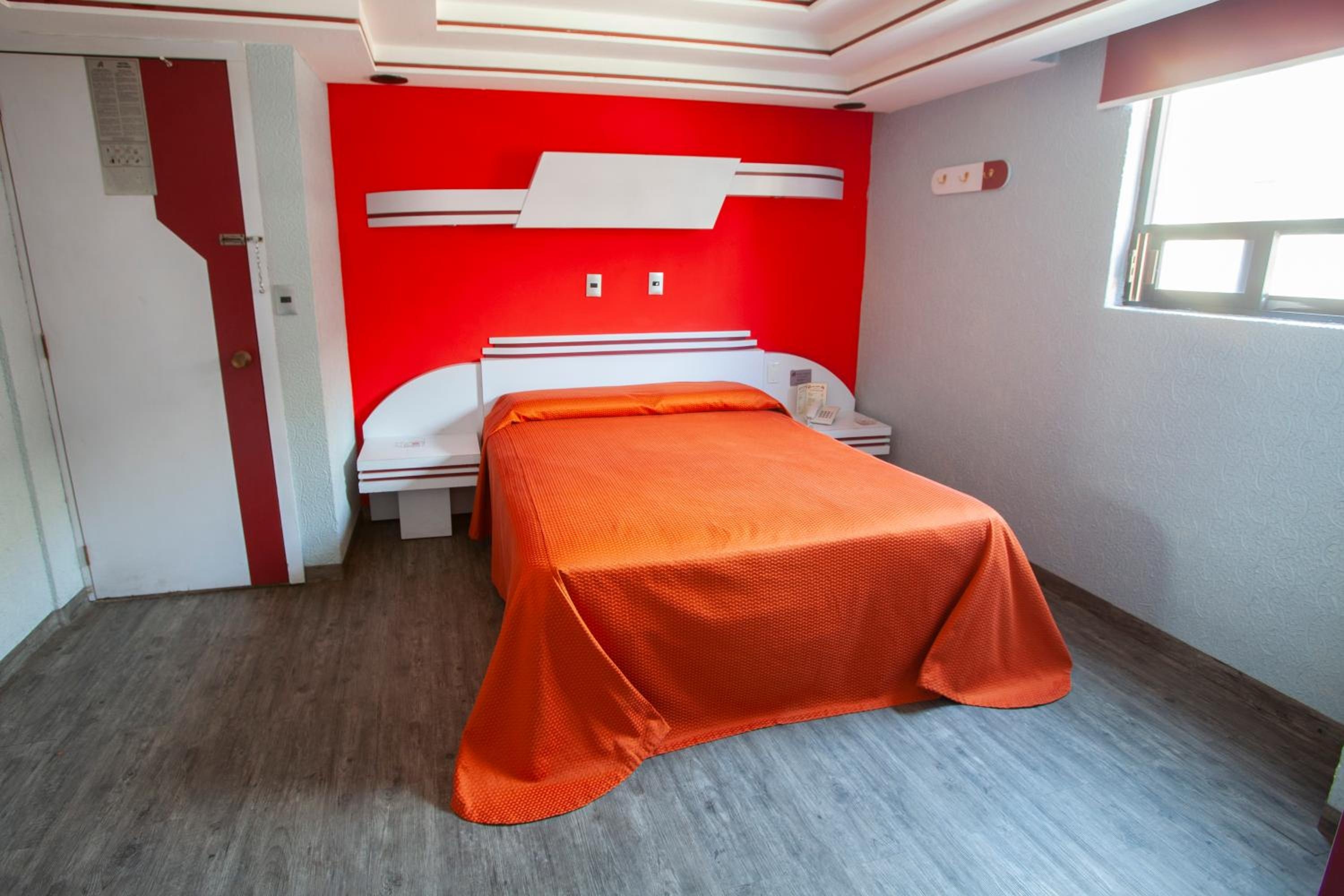 Foto de Hotel Ancona - Sólo Adultos