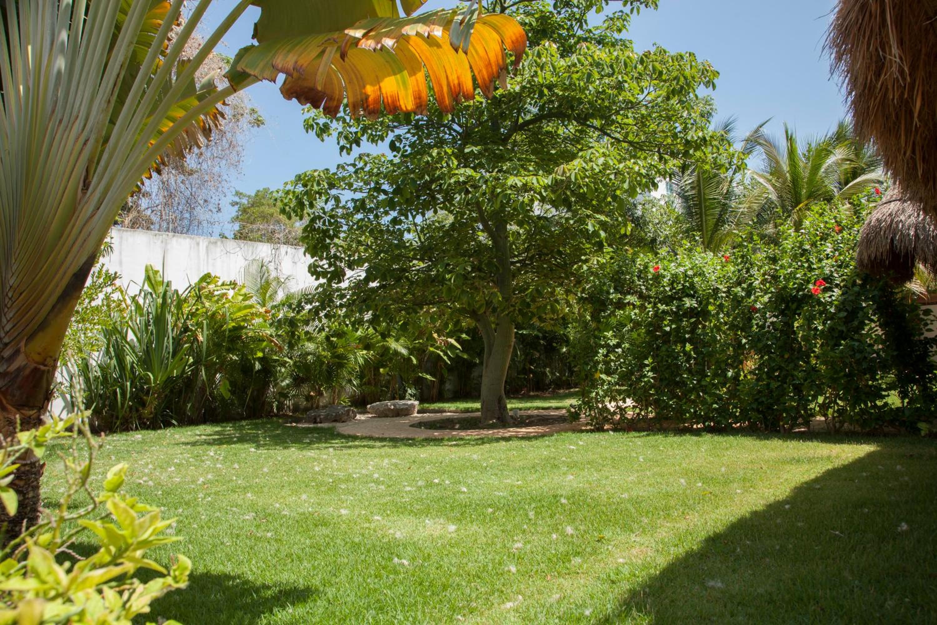Foto de Beautiful Private Villa for 16 PAX with garden, BBQ and pool, Playa del Carmen