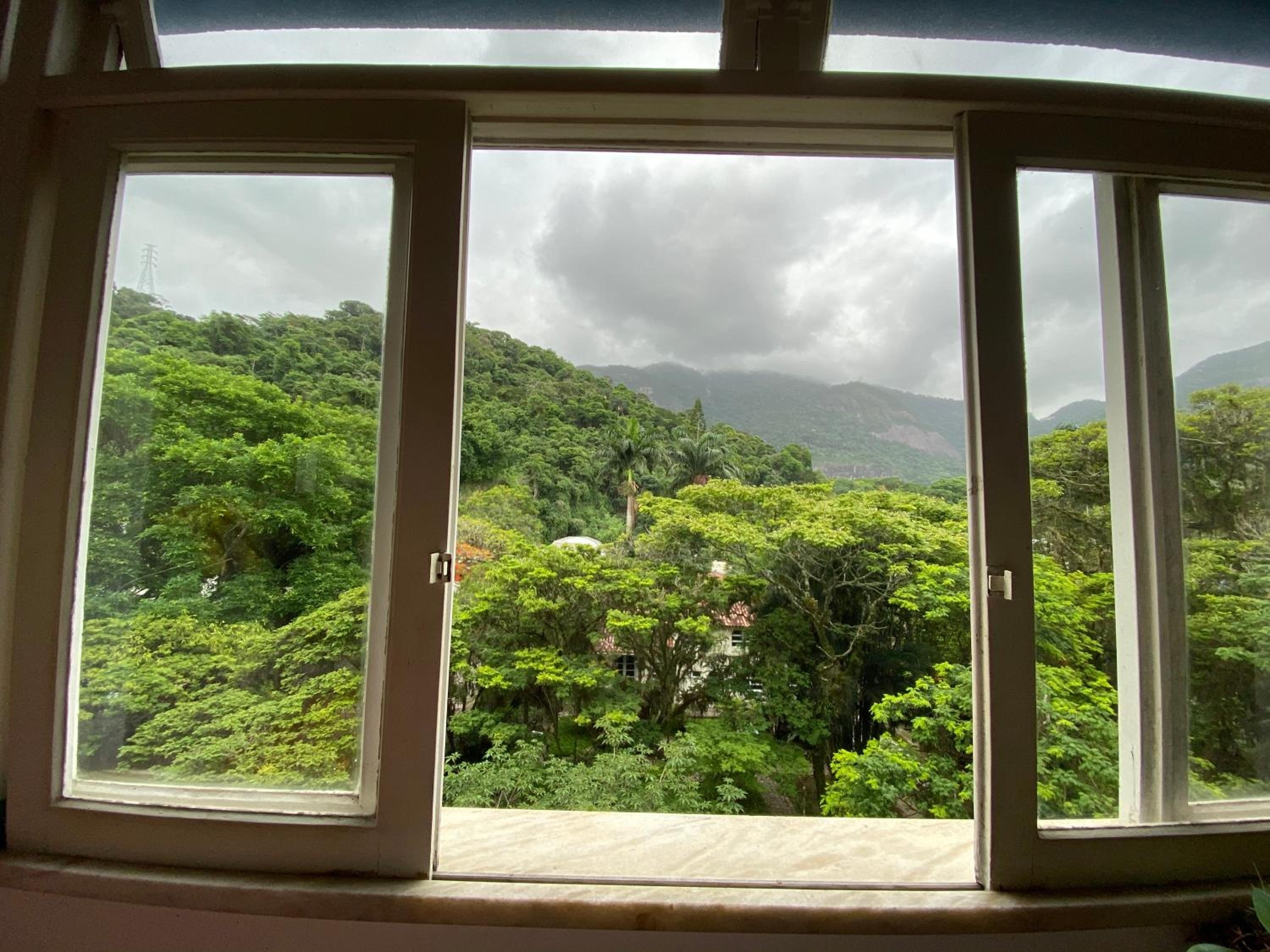 Vista pro verde