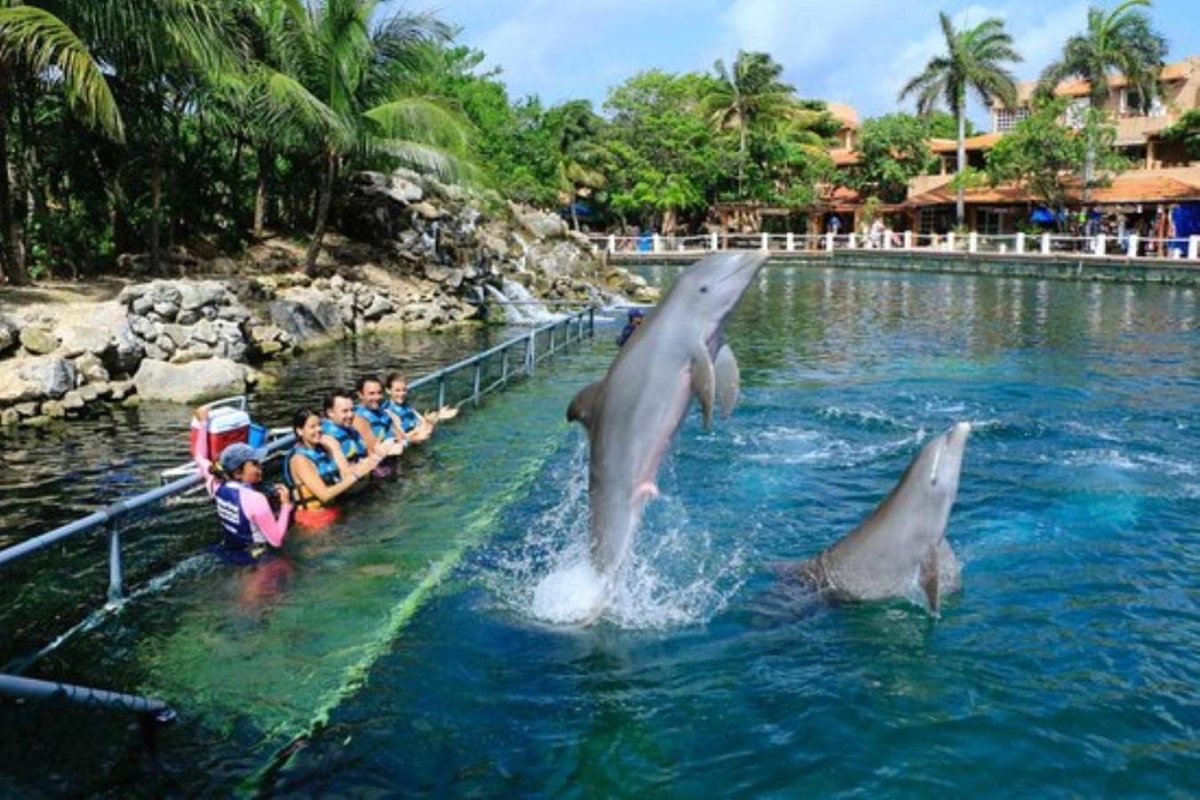 Foto de Estudio Cerca del mar, en Puerto Aventuras #201