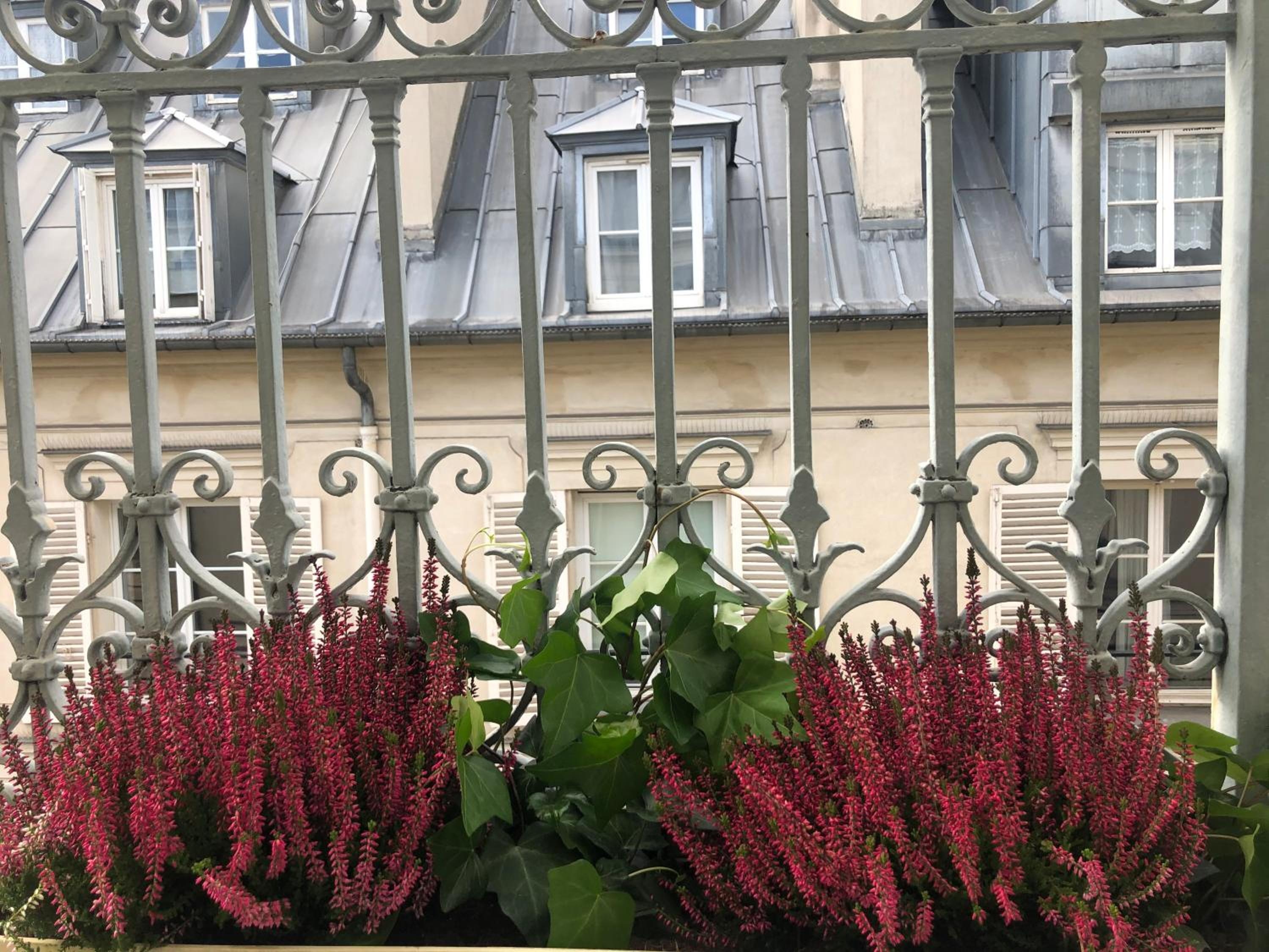 Foto de Hotel Corona -Rodier-