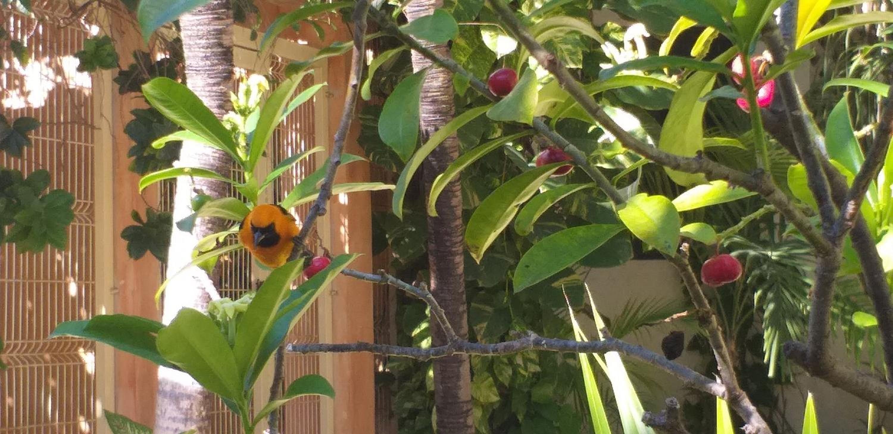 Foto de Posada Sian Kaan Playa del Carmen - Wellness Oriented Hotel