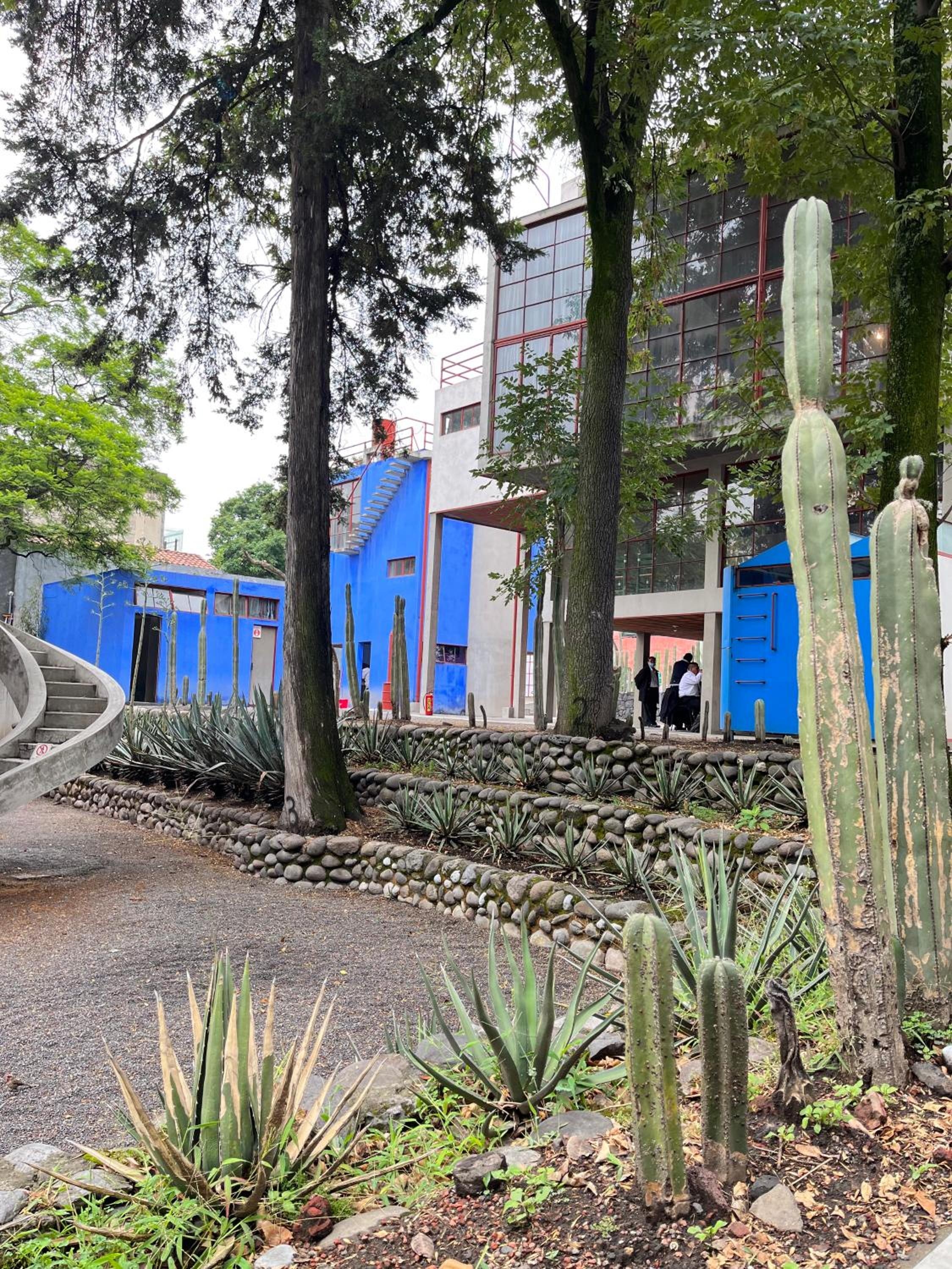 Foto de Mi Refugio San Angel