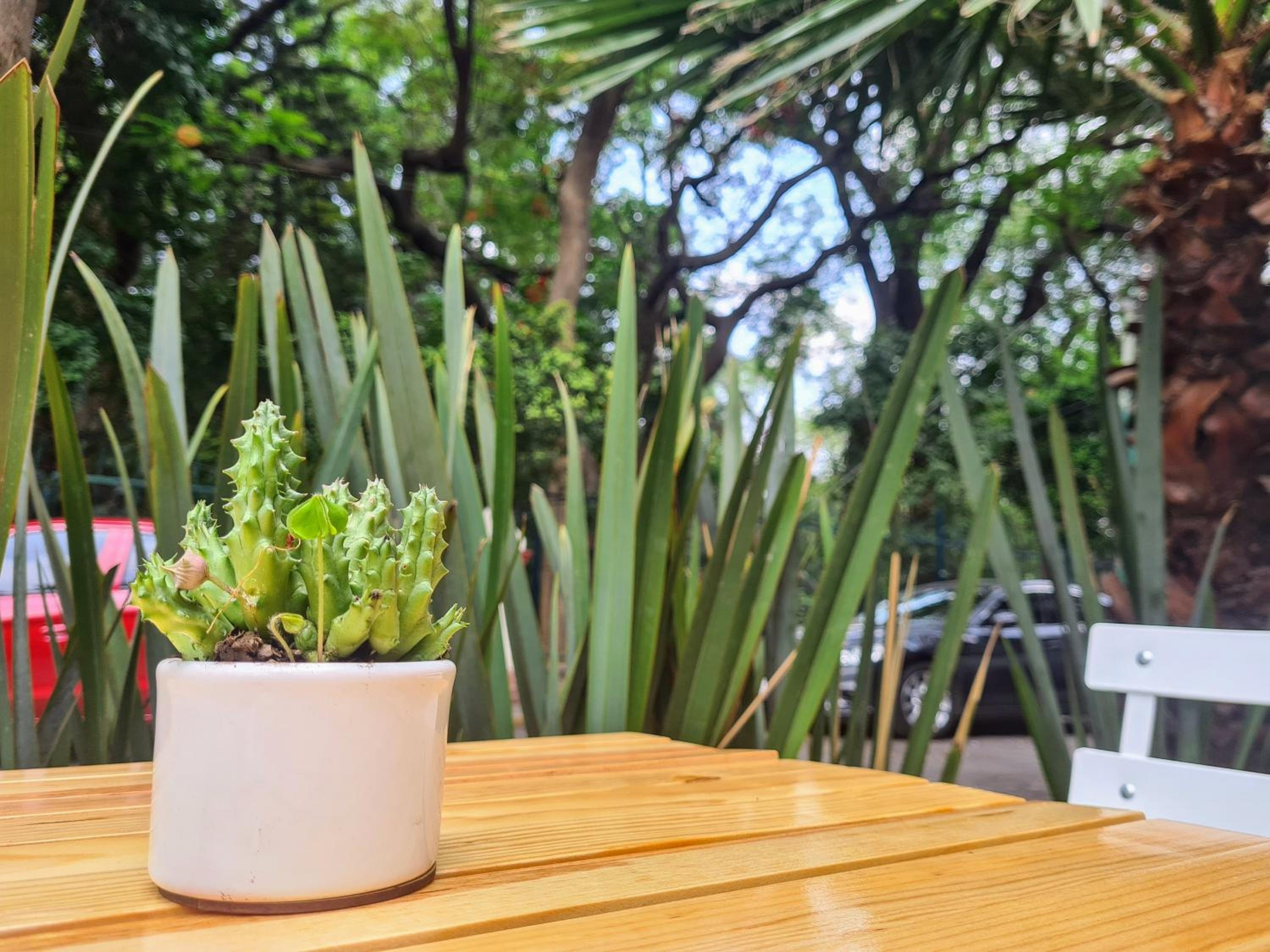 Foto de Sisao Hotel-Café