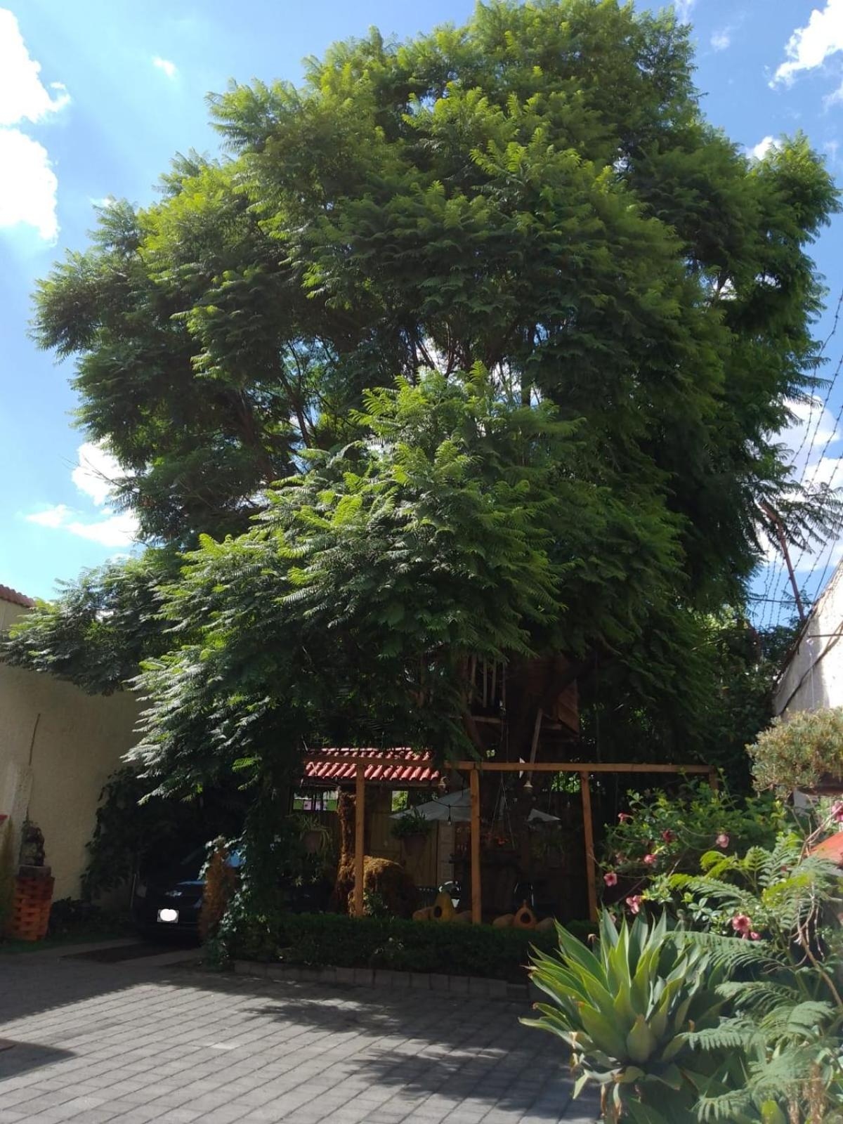 Foto de Casita del Árbol