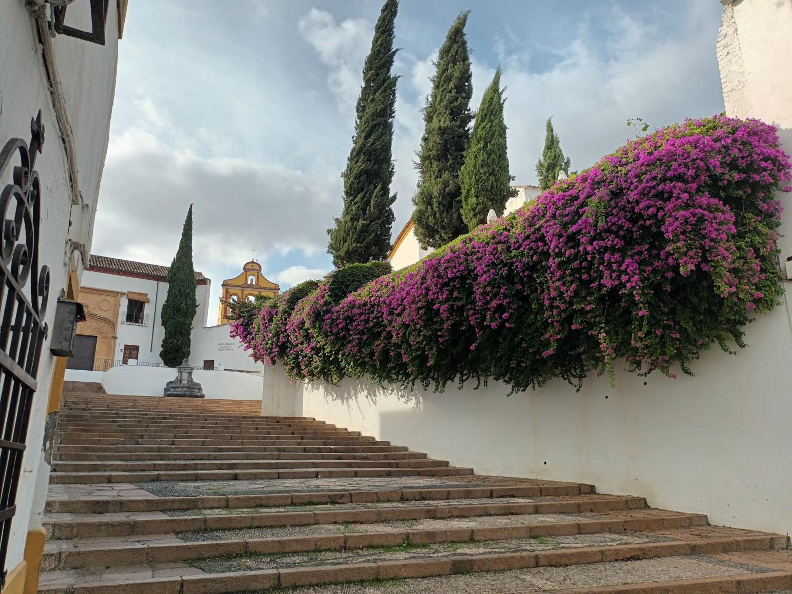 Suites Casa San Mateo